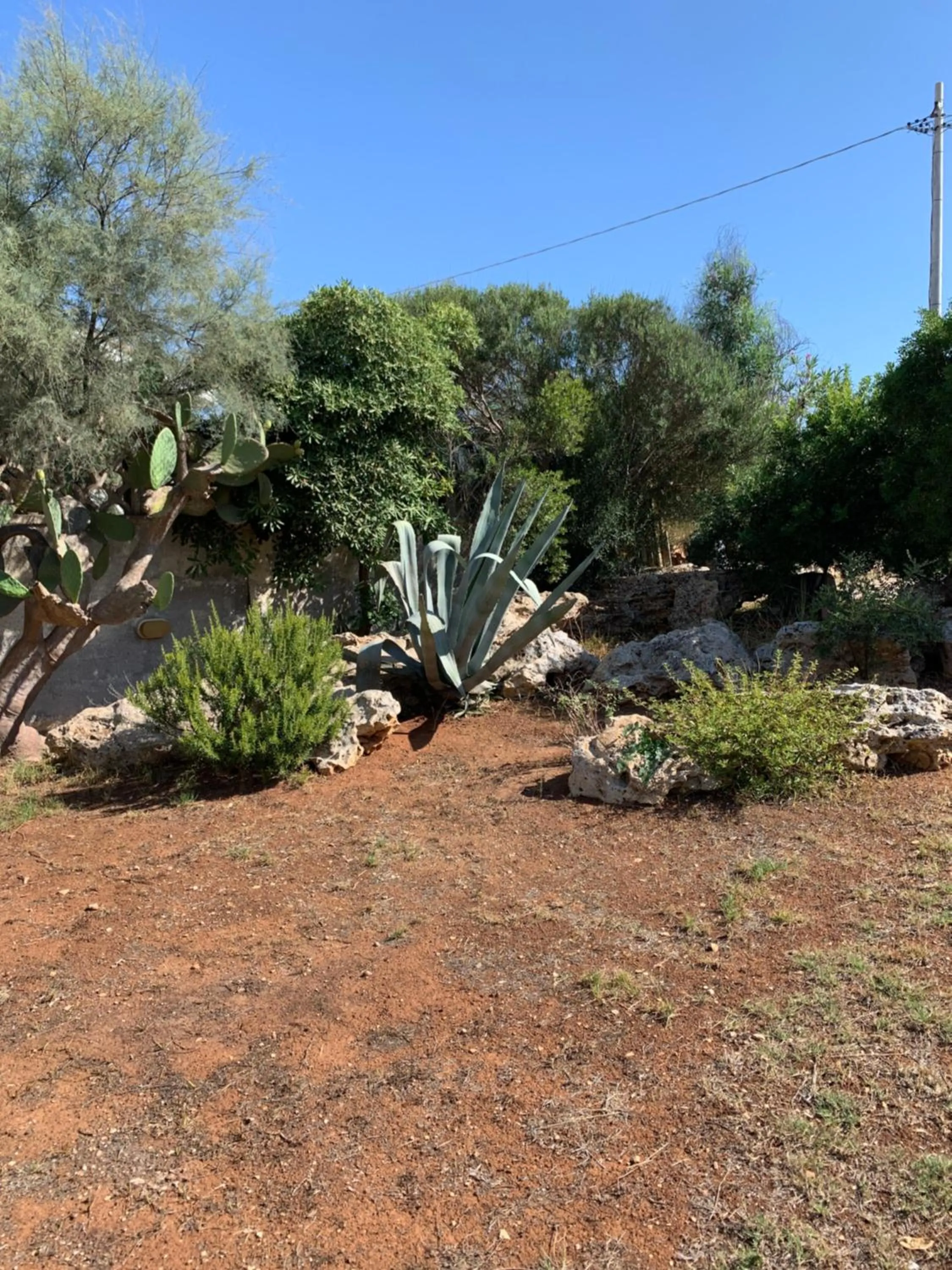 Natural landscape in Mansarda sul Mare