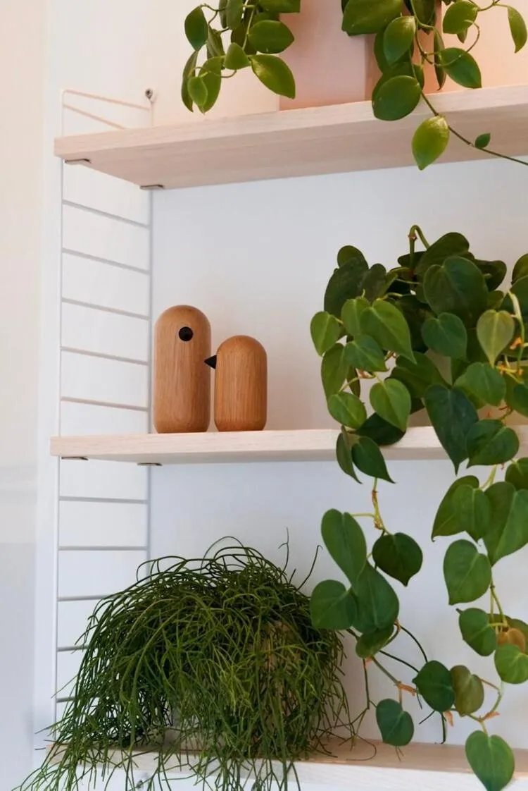 Decorative detail in B&B De Stuifduinen