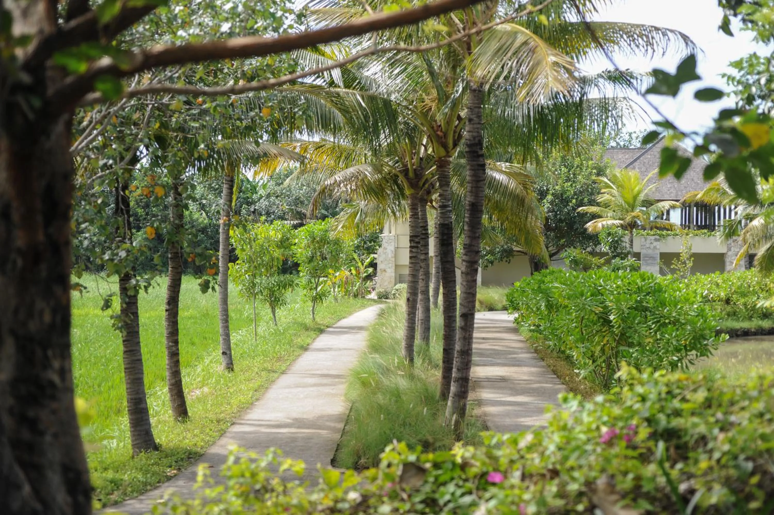 Garden view in Komaneka at Keramas Beach