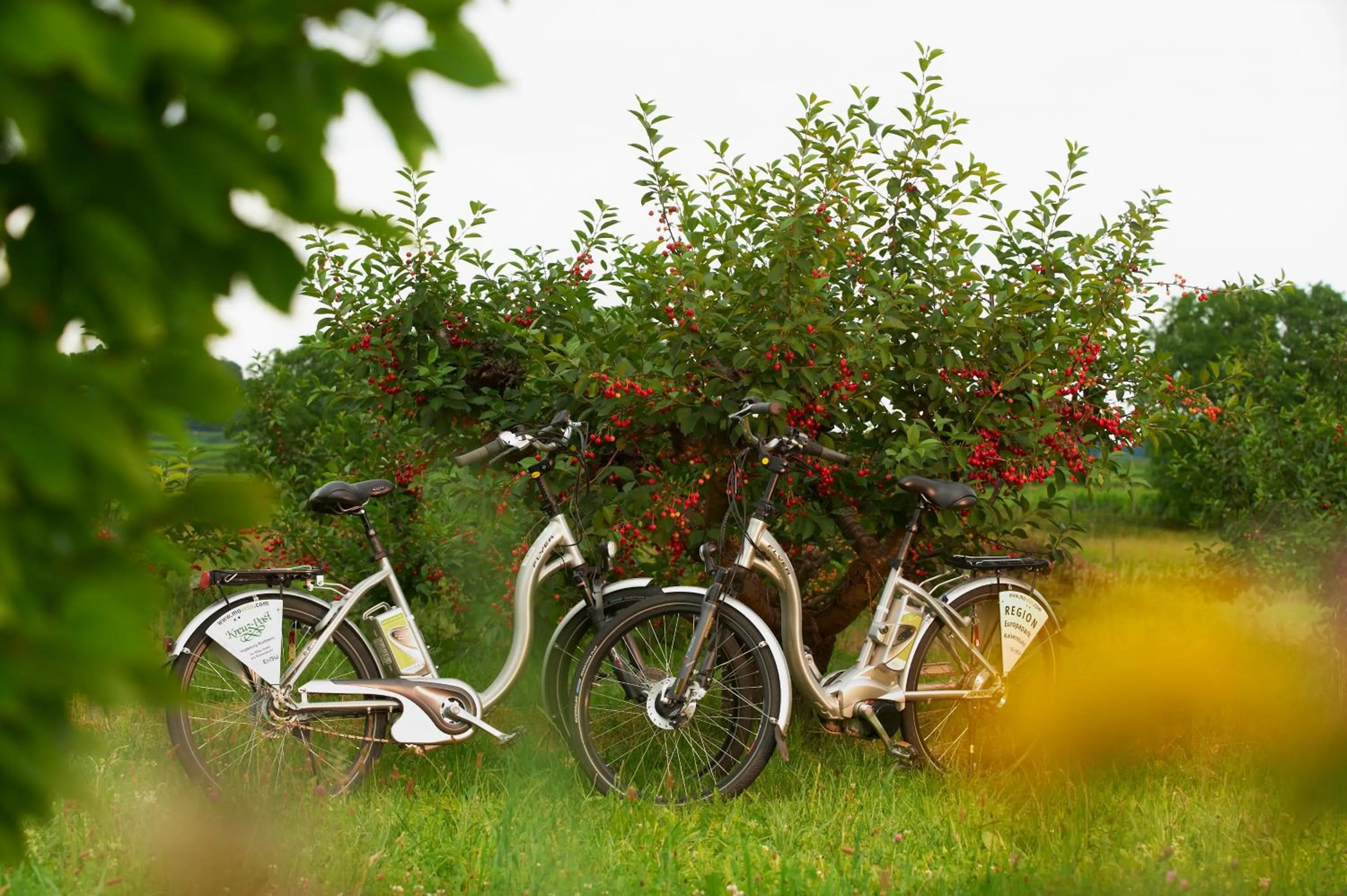 Garden in Kreuz-Post Hotel-Restaurant-SPA