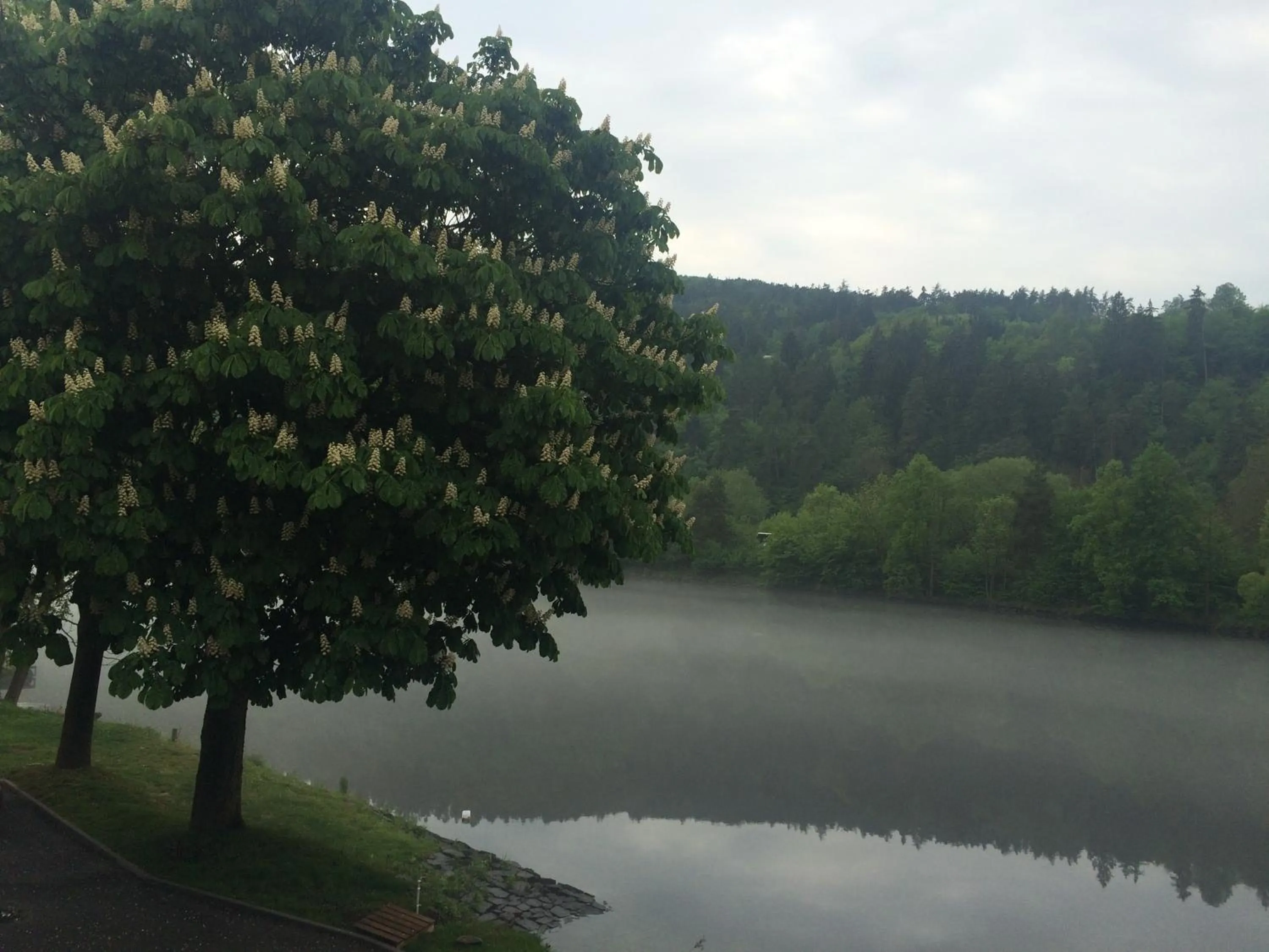 River view in Hotel Mandát
