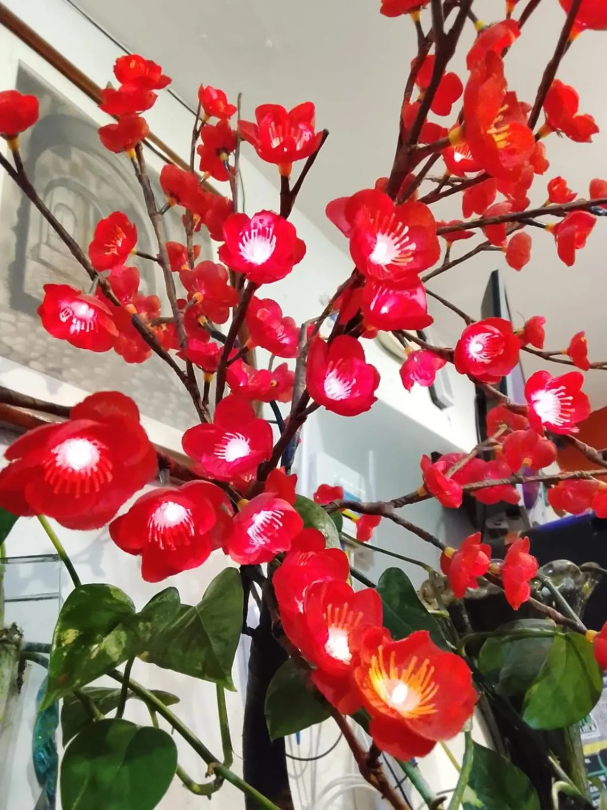 Grann Posada Xilitla