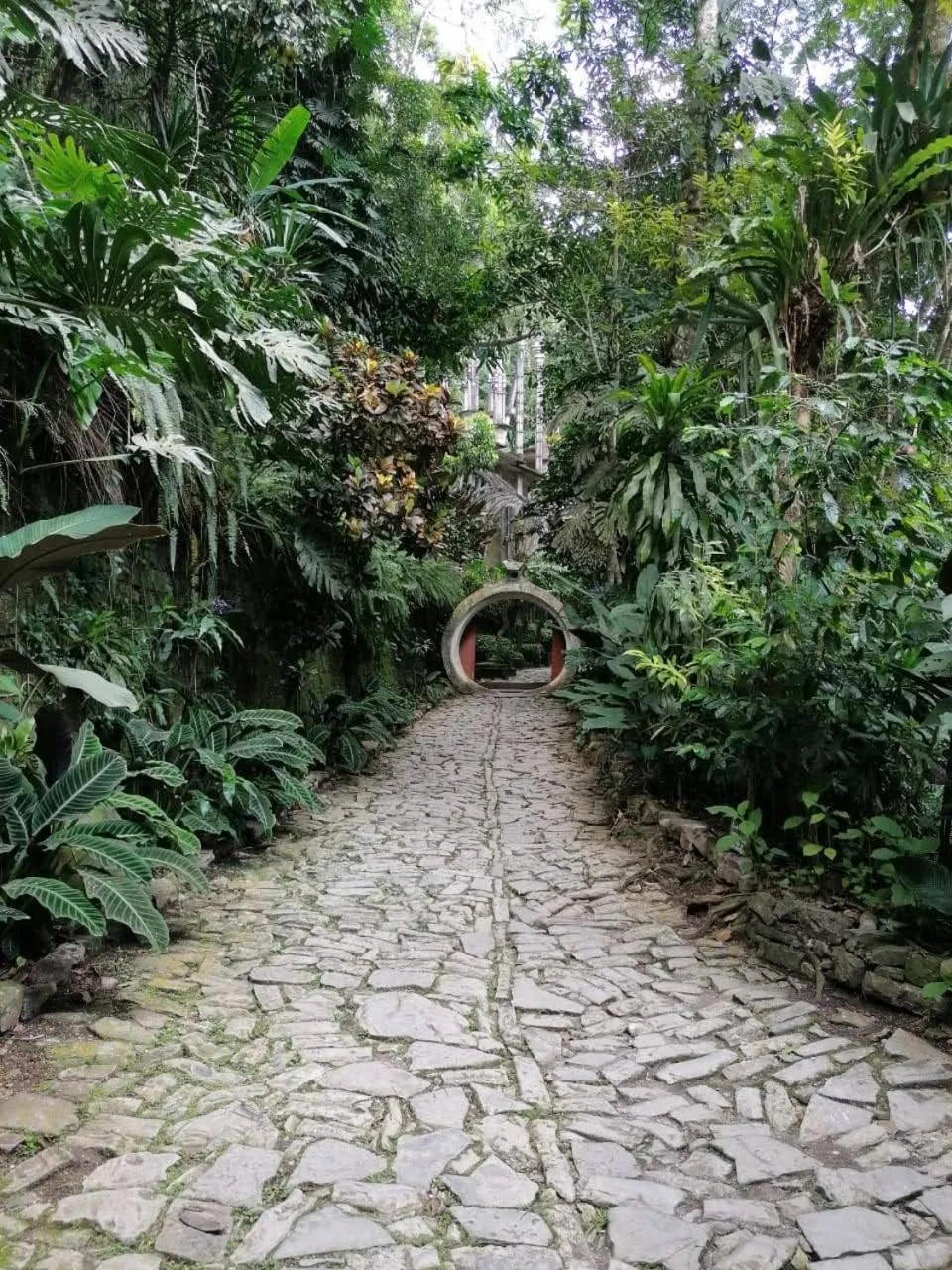 Hiking in Grann Posada Xilitla