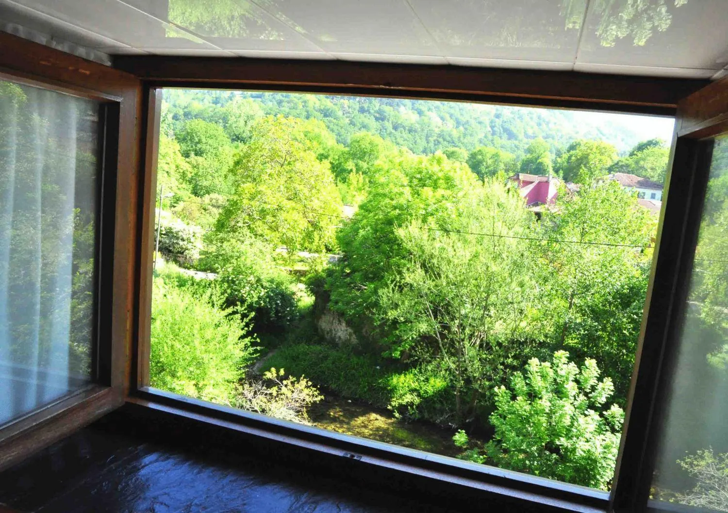 View (from property/room) in Hotel La Balsa