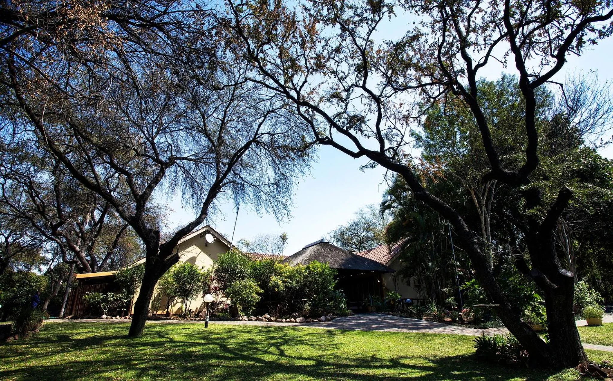 Garden in Sunbird Lodge
