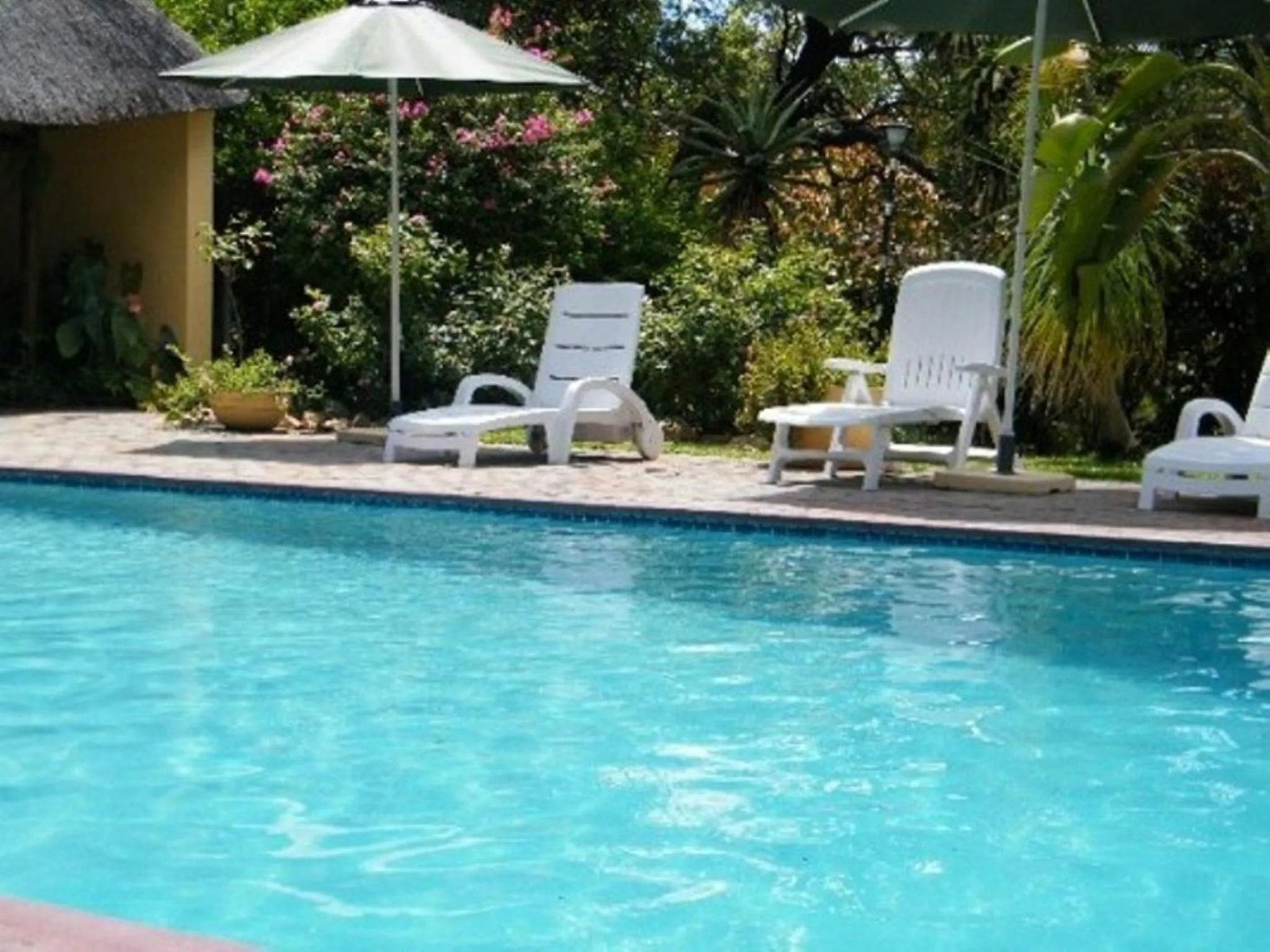 Swimming pool in Sunbird Lodge