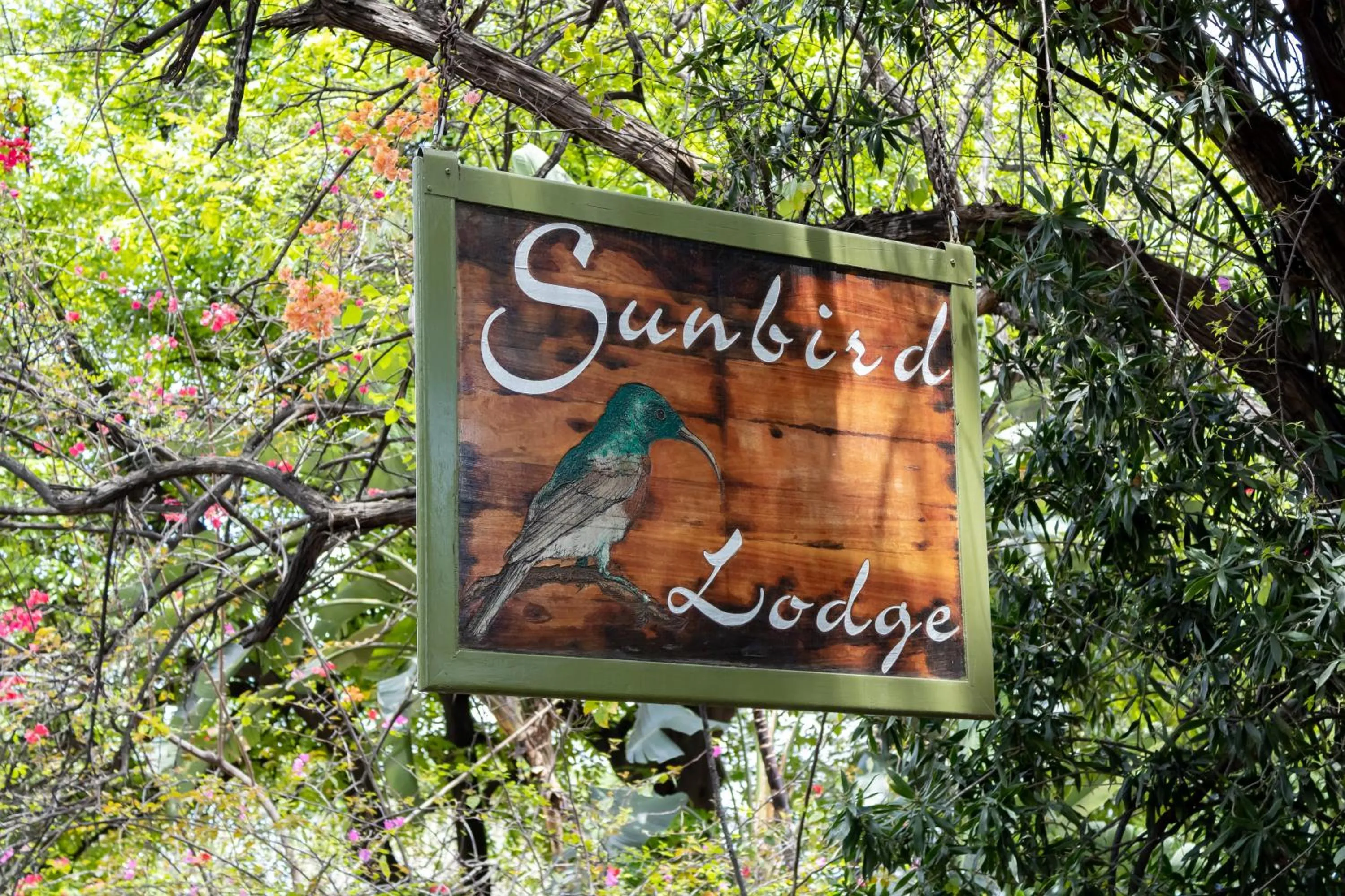 Logo/Certificate/Sign in Sunbird Lodge