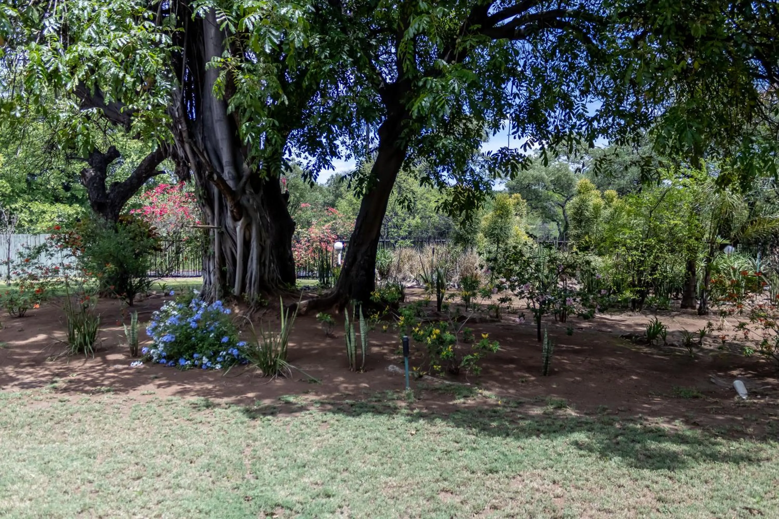 Day in Sunbird Lodge