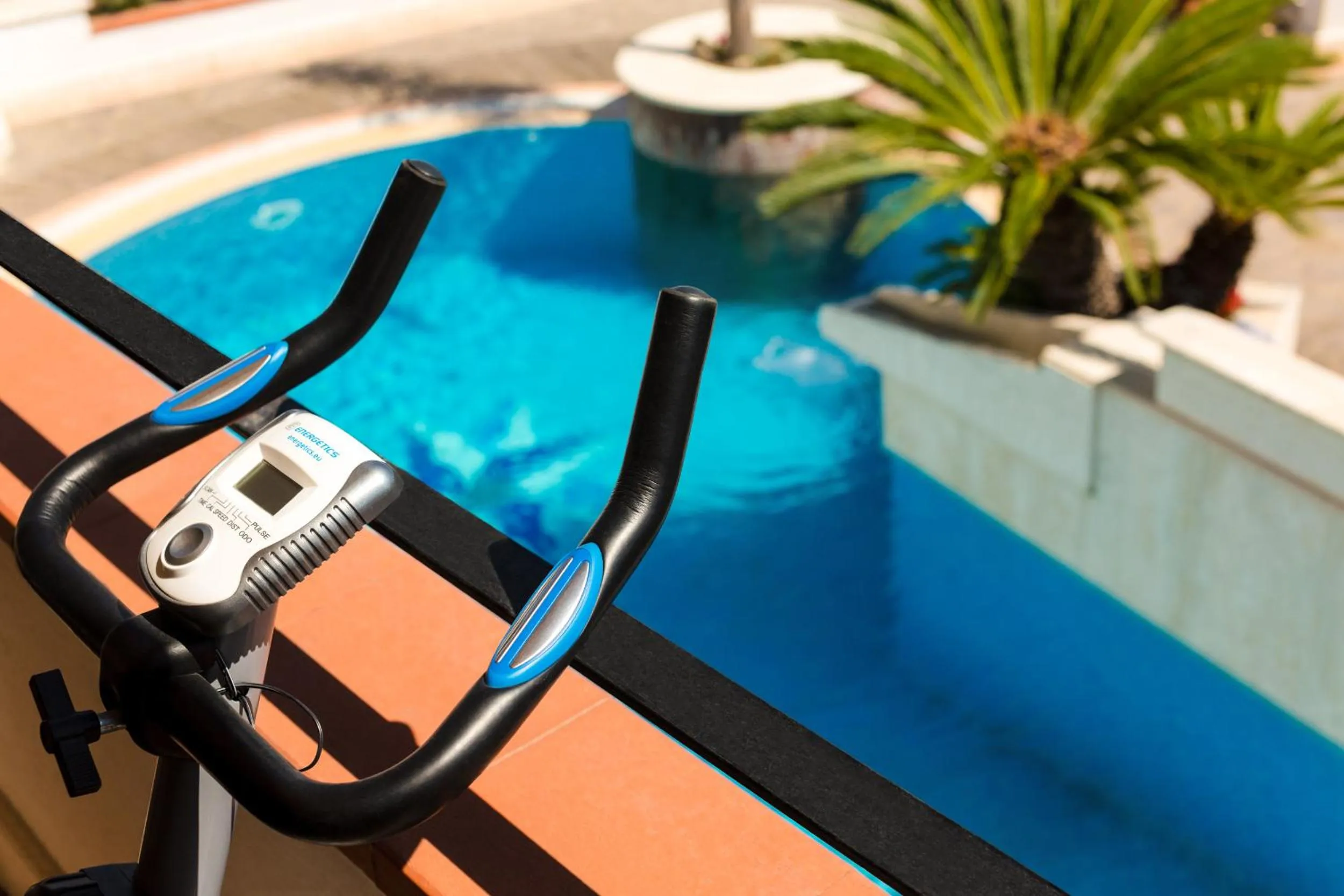 Activities in Villa Araucaria