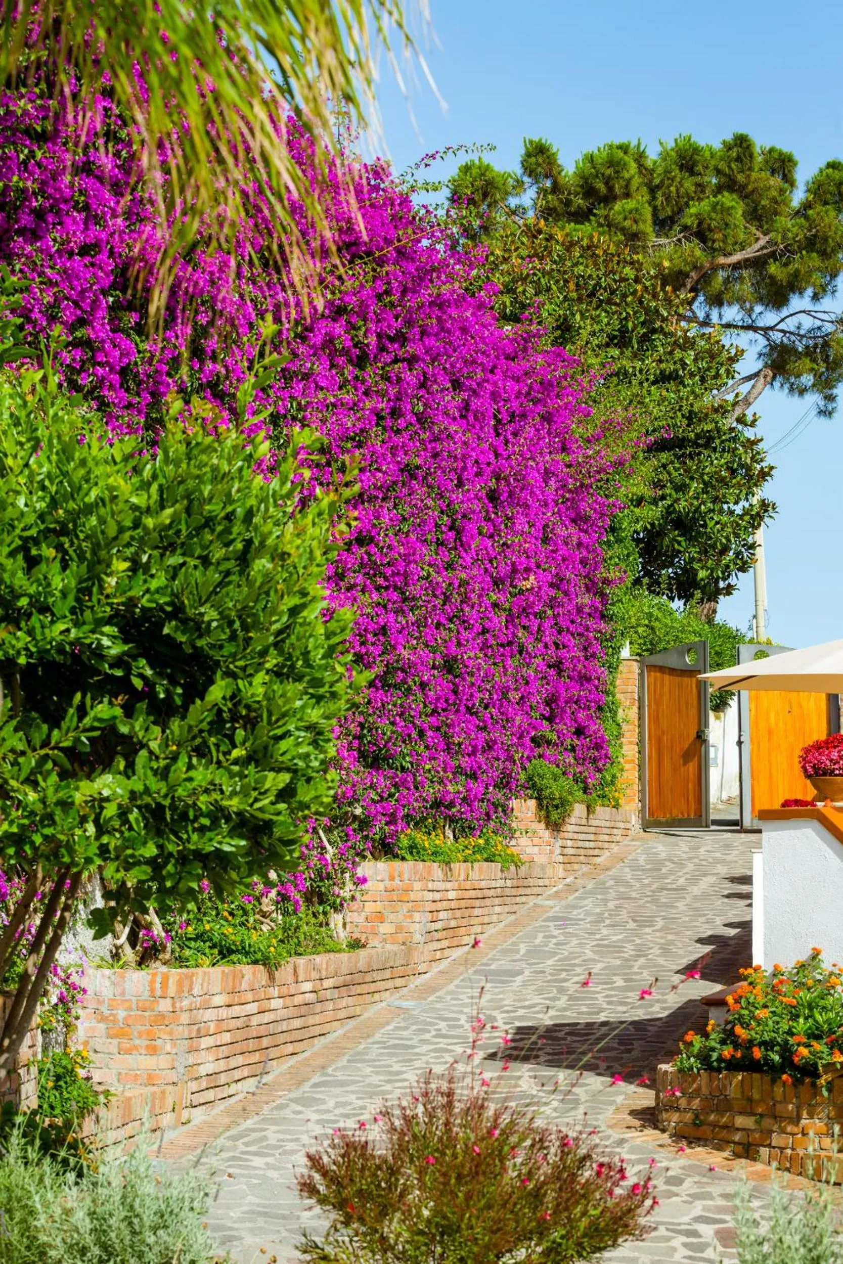 Property building in Villa Araucaria