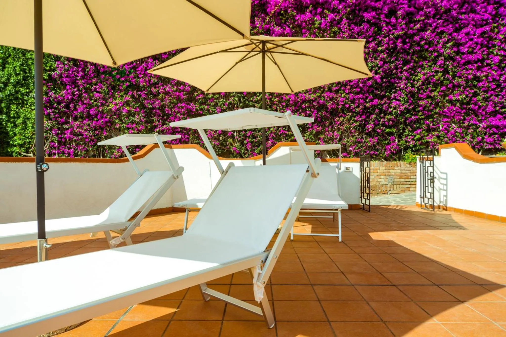 Balcony/Terrace in Villa Araucaria