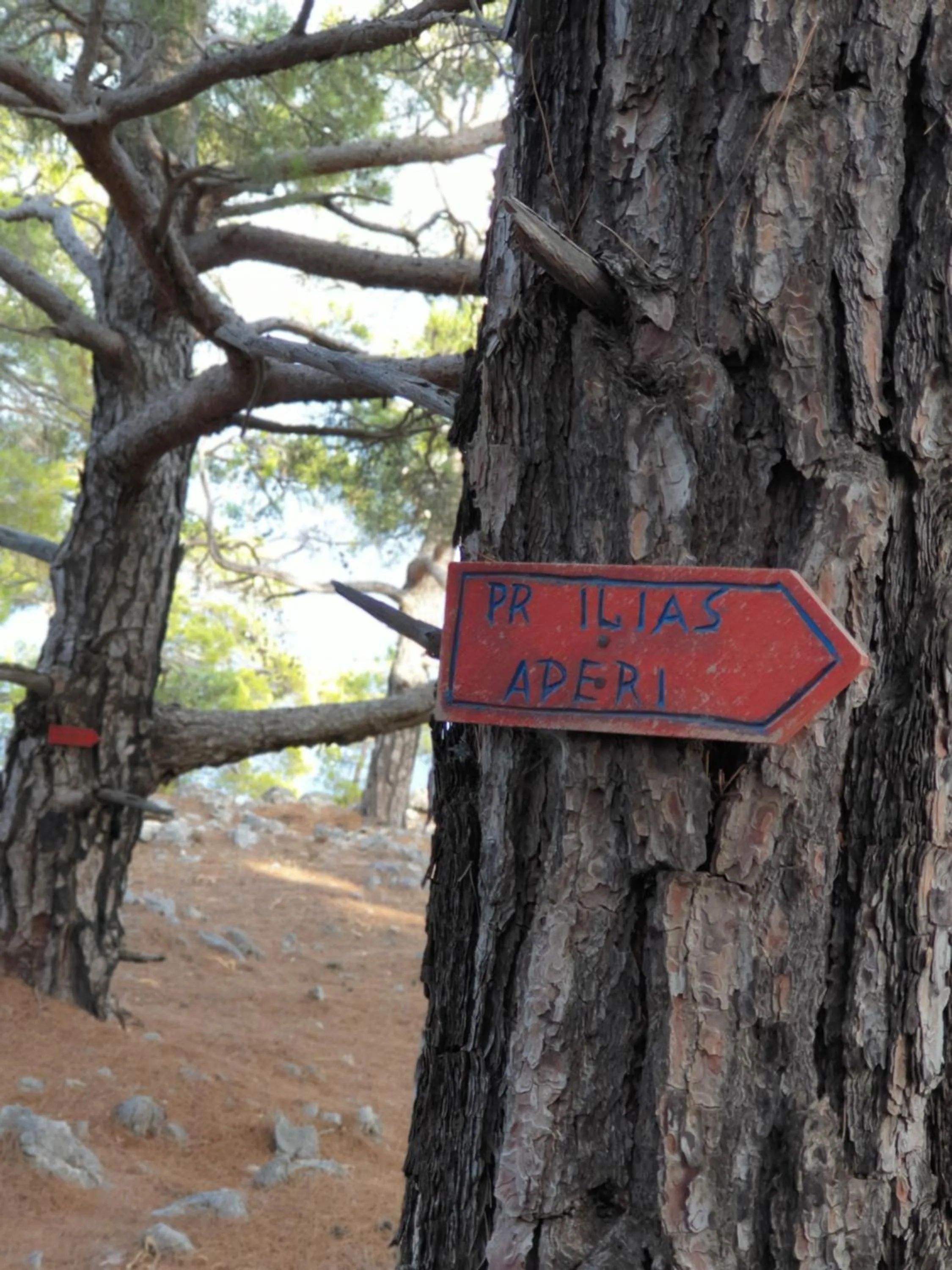 Natural landscape in Regina Studios & Hotel