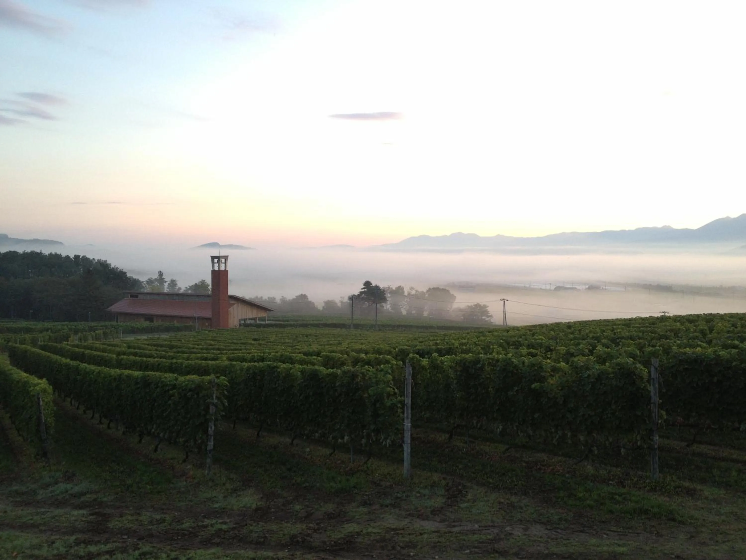 Nearby landmark in Element