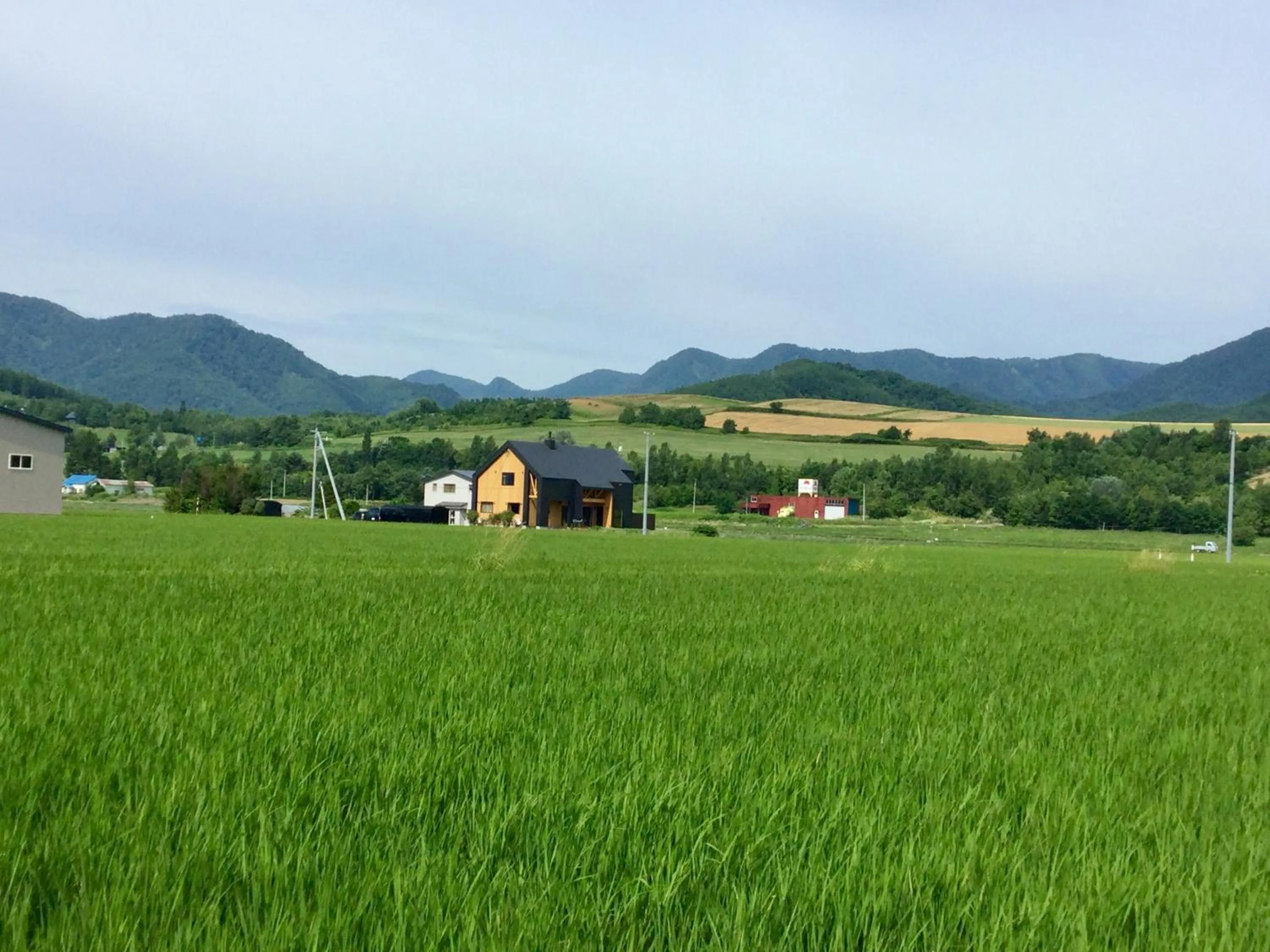 Property building in Element