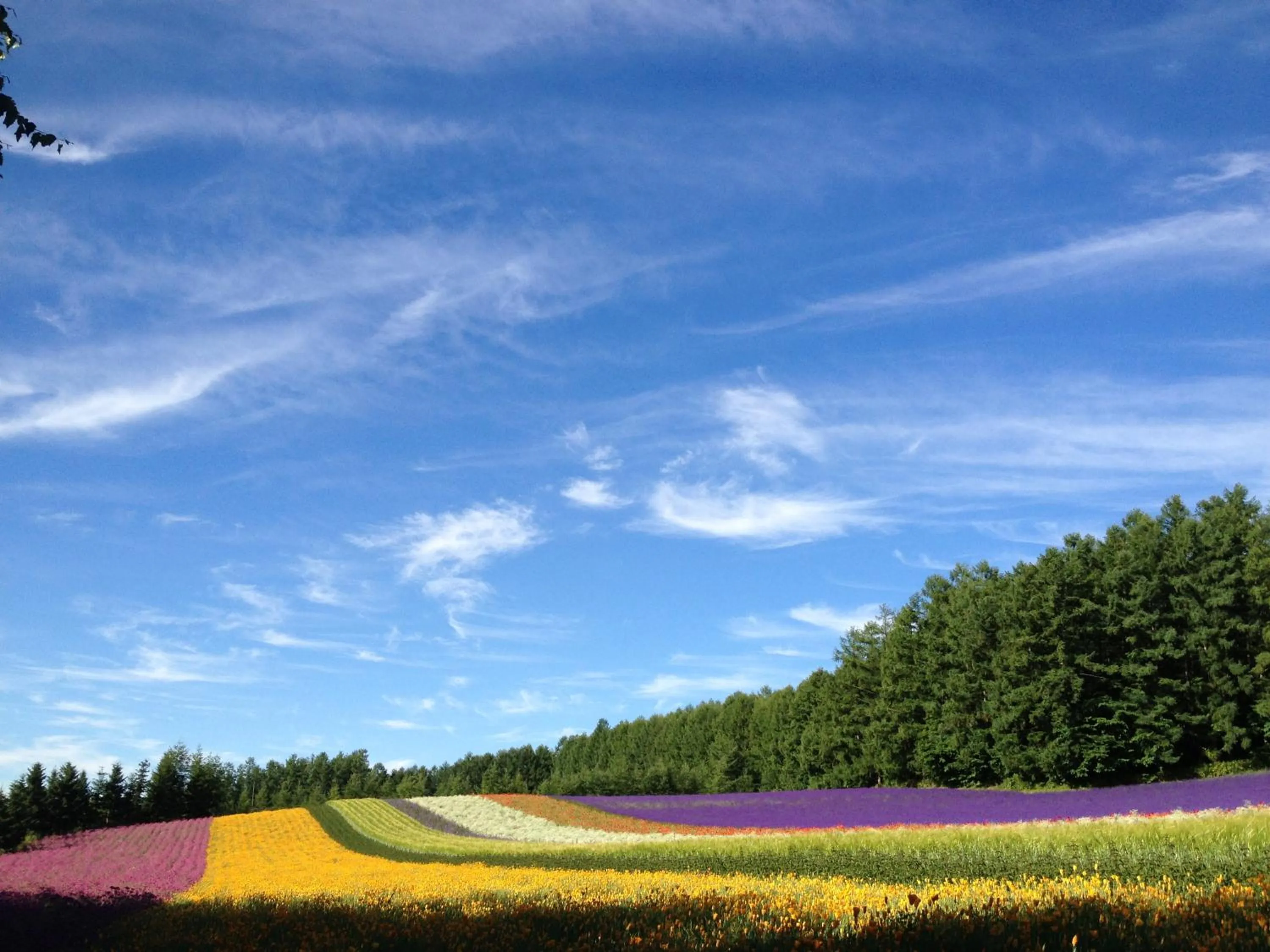 Nearby landmark in Element