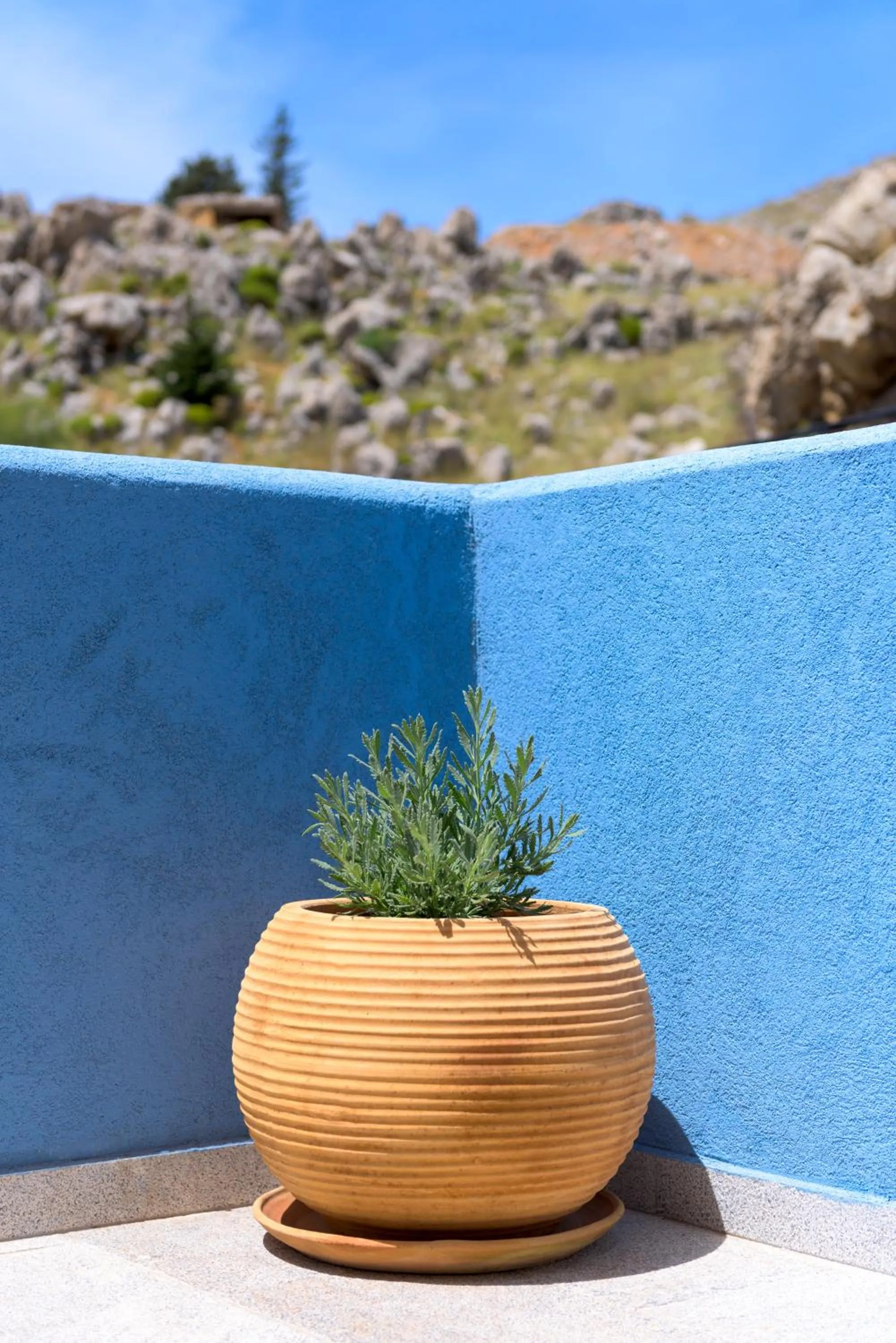 Decorative detail in Asymi Residences