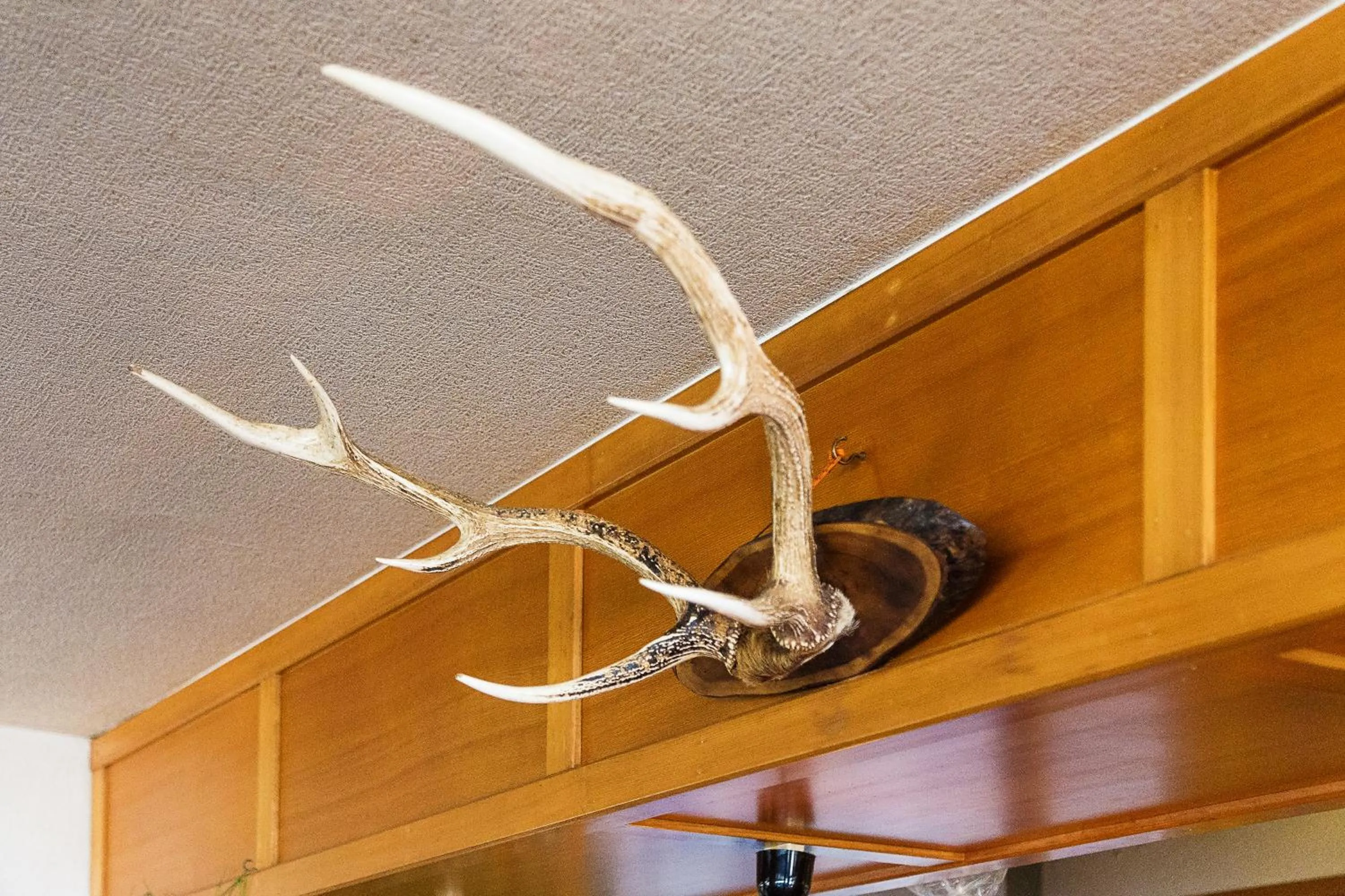 Decorative detail in Minshuku Nihonkai