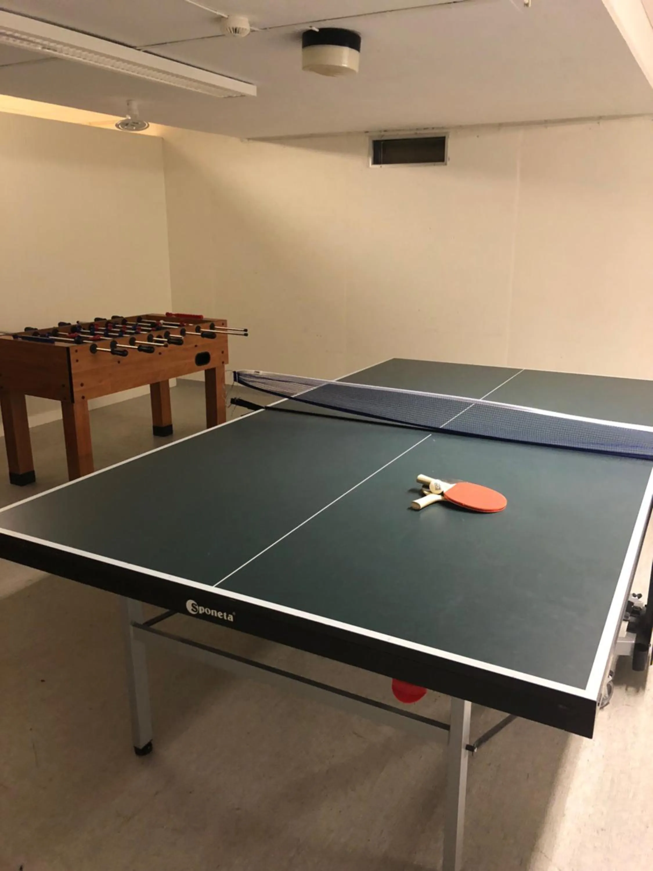 Game Room in Ansgar Summerhotel