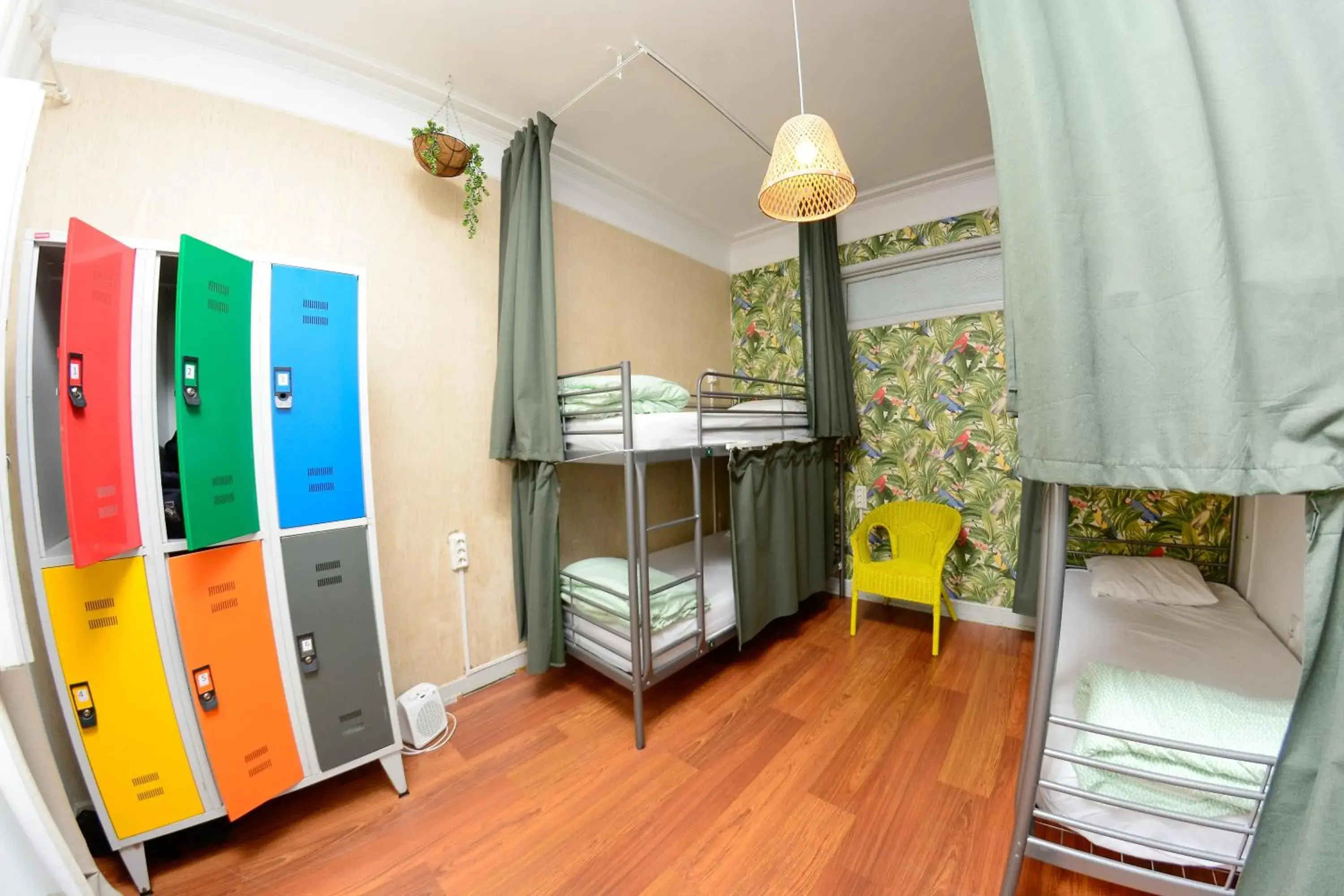Single Bed in Female Dormitory Room in Travel & Live Hostel Single Bed in Female Dormitory Room in Travel & Live Hostel