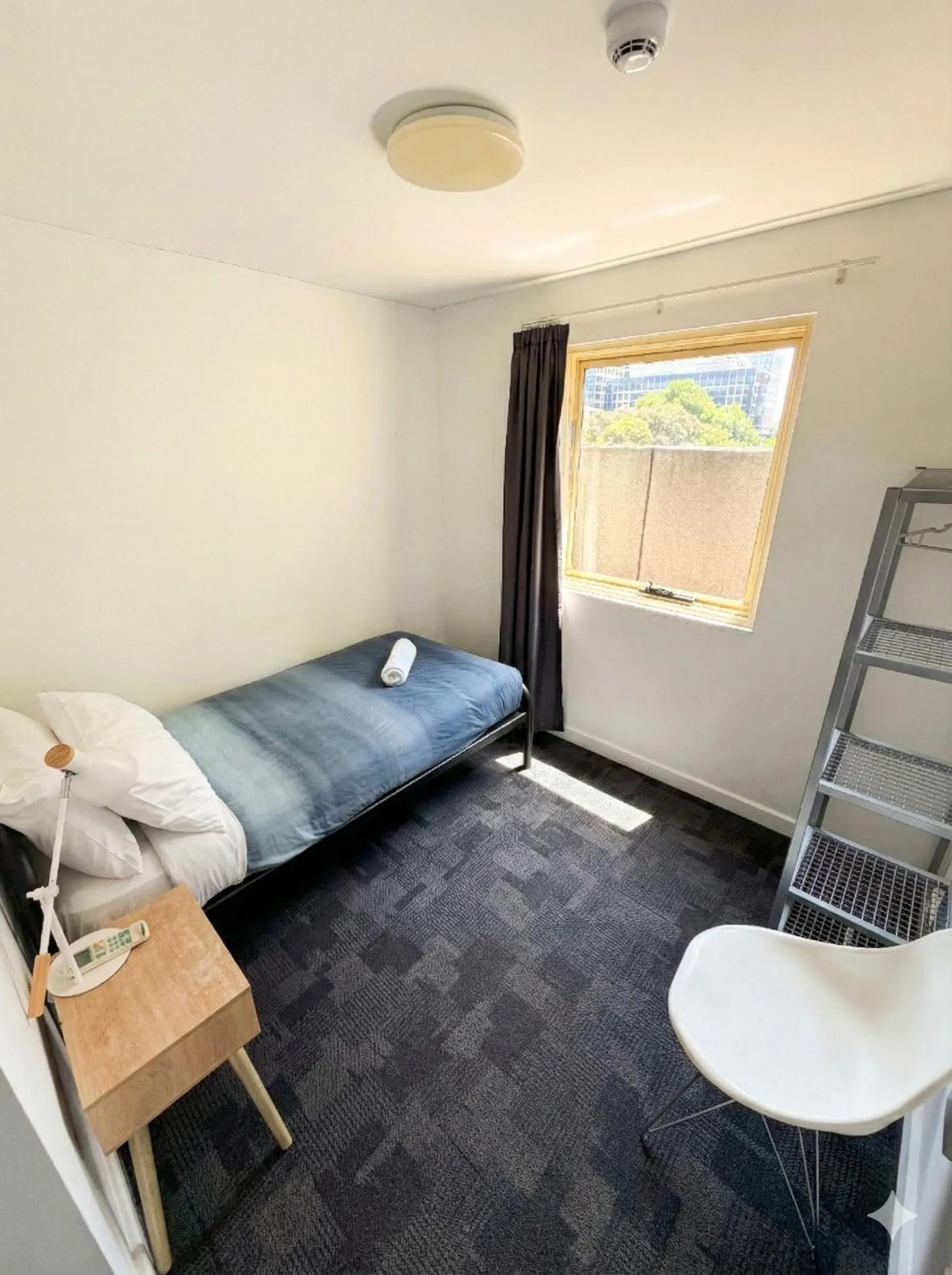 Bed in Big Backpackers Hostel