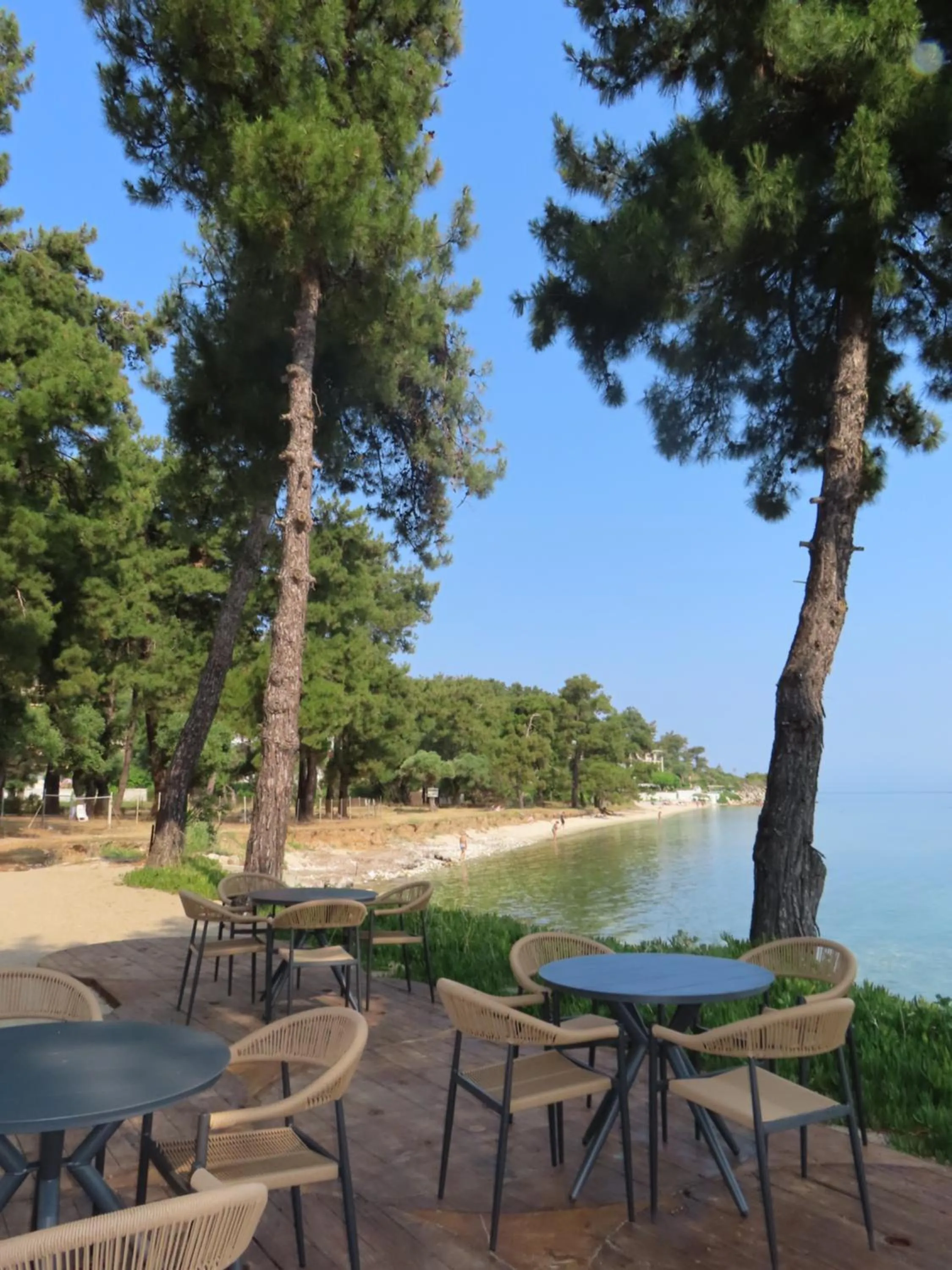 Aroma Beach Bungalows