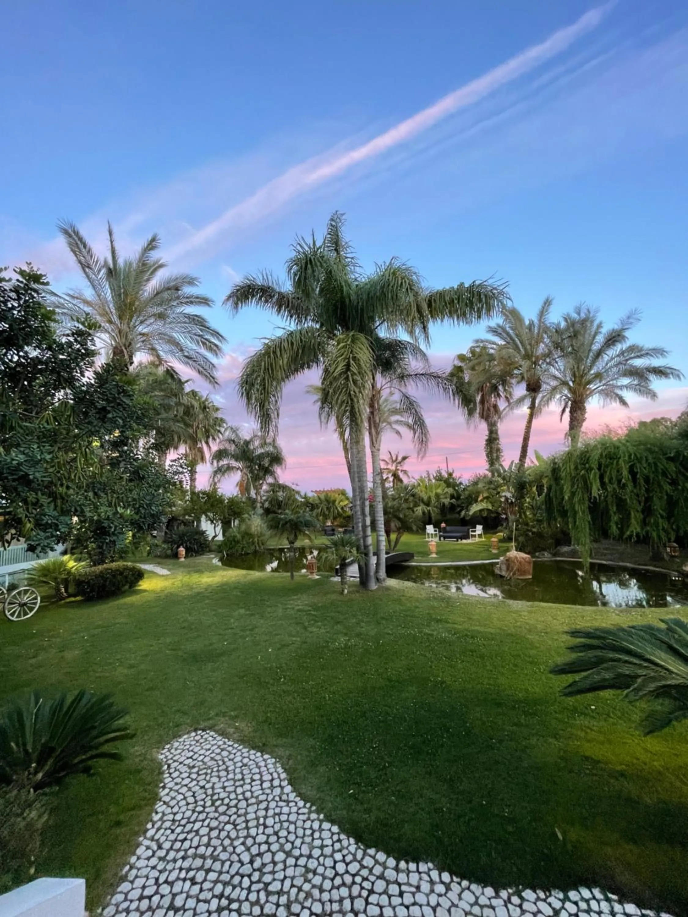 Garden in Hotel Mediterraneo