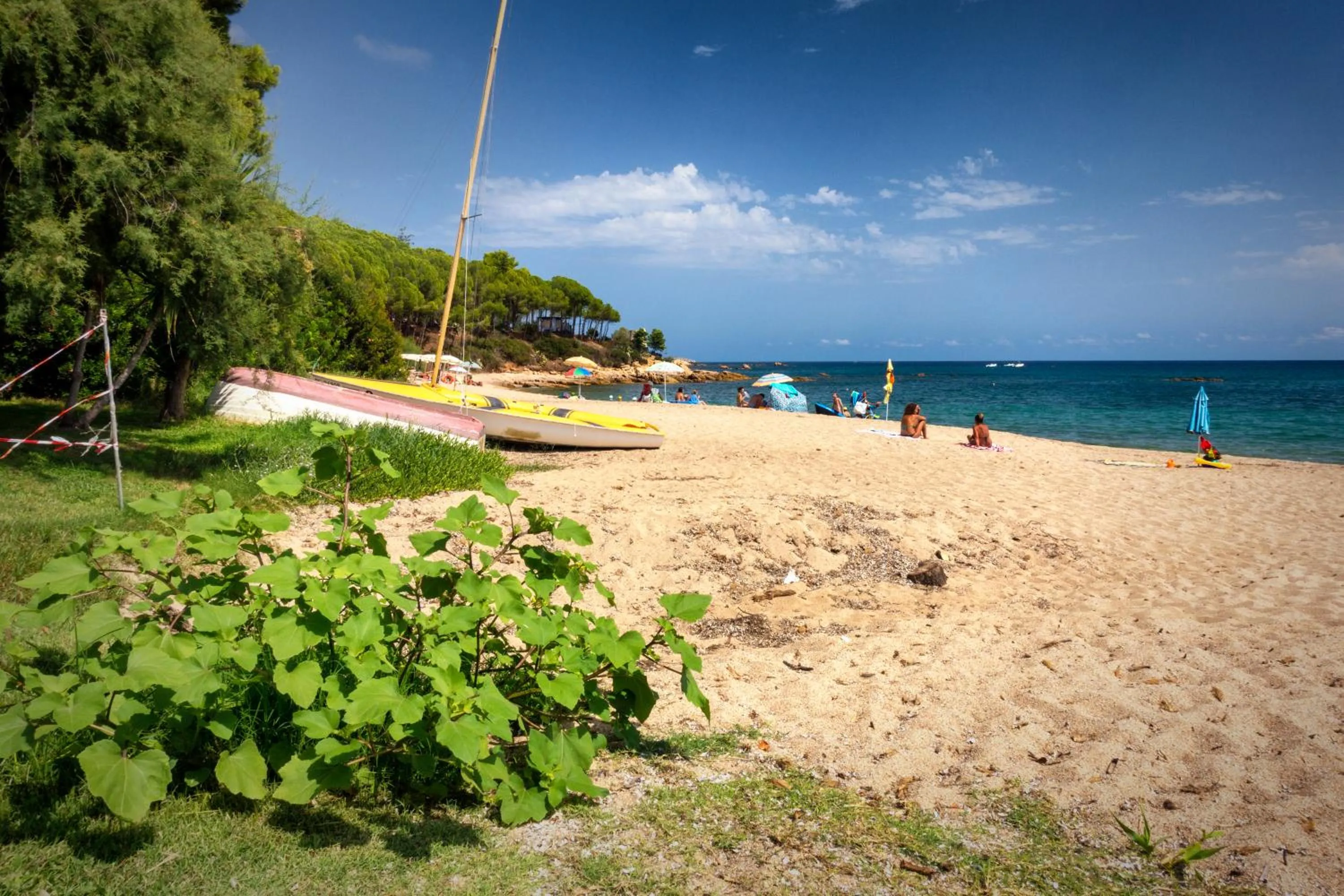 Beach in Hotel Mediterraneo