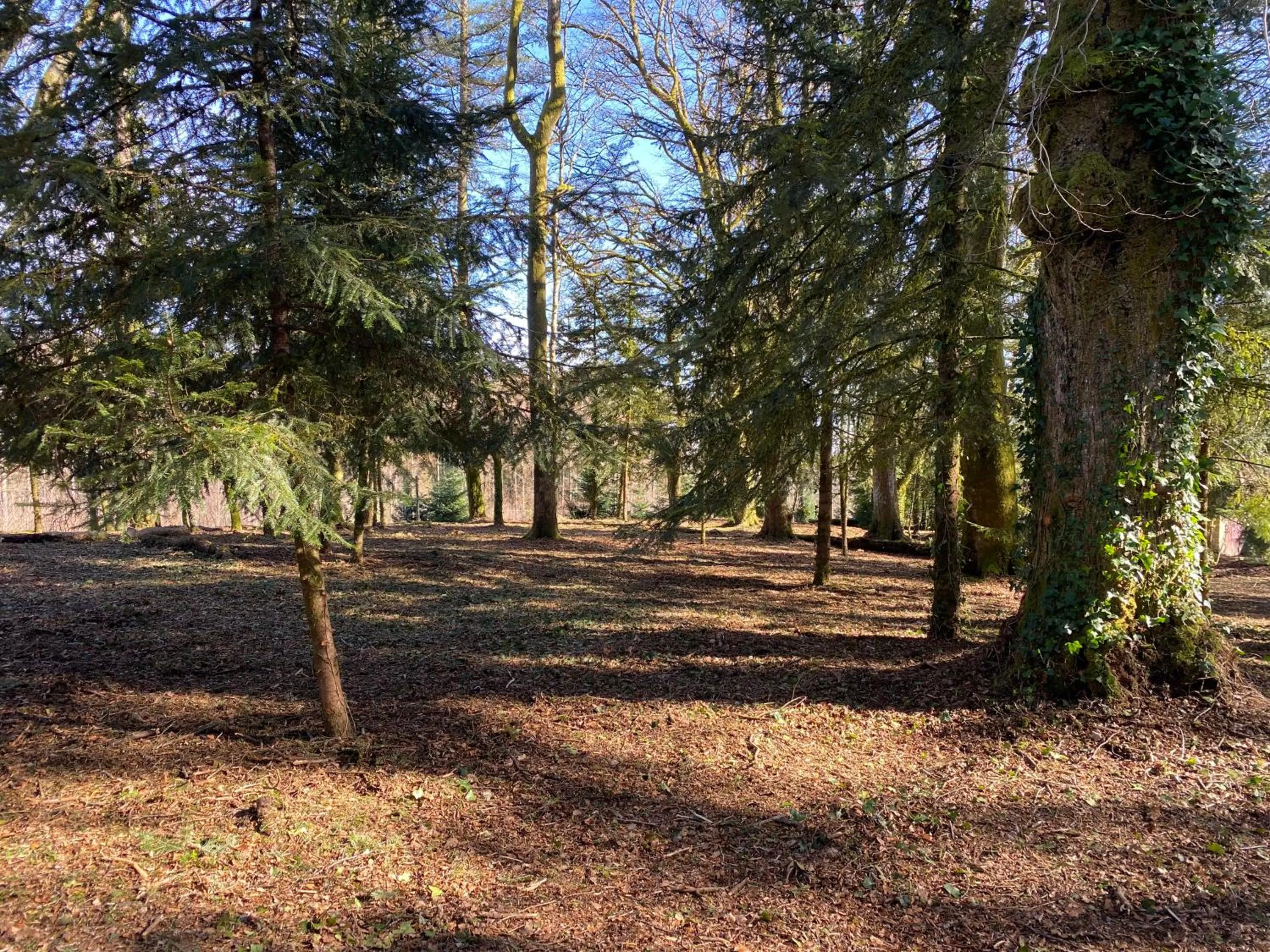 Garden in B&B Chateau le Bois