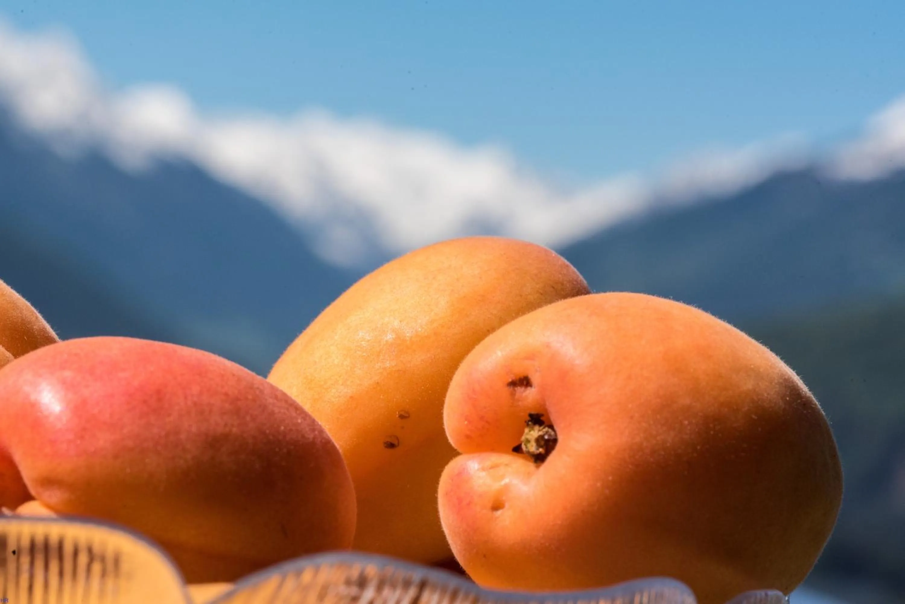 Restaurant/places to eat in Hotel Restaurant Grünwalderhof