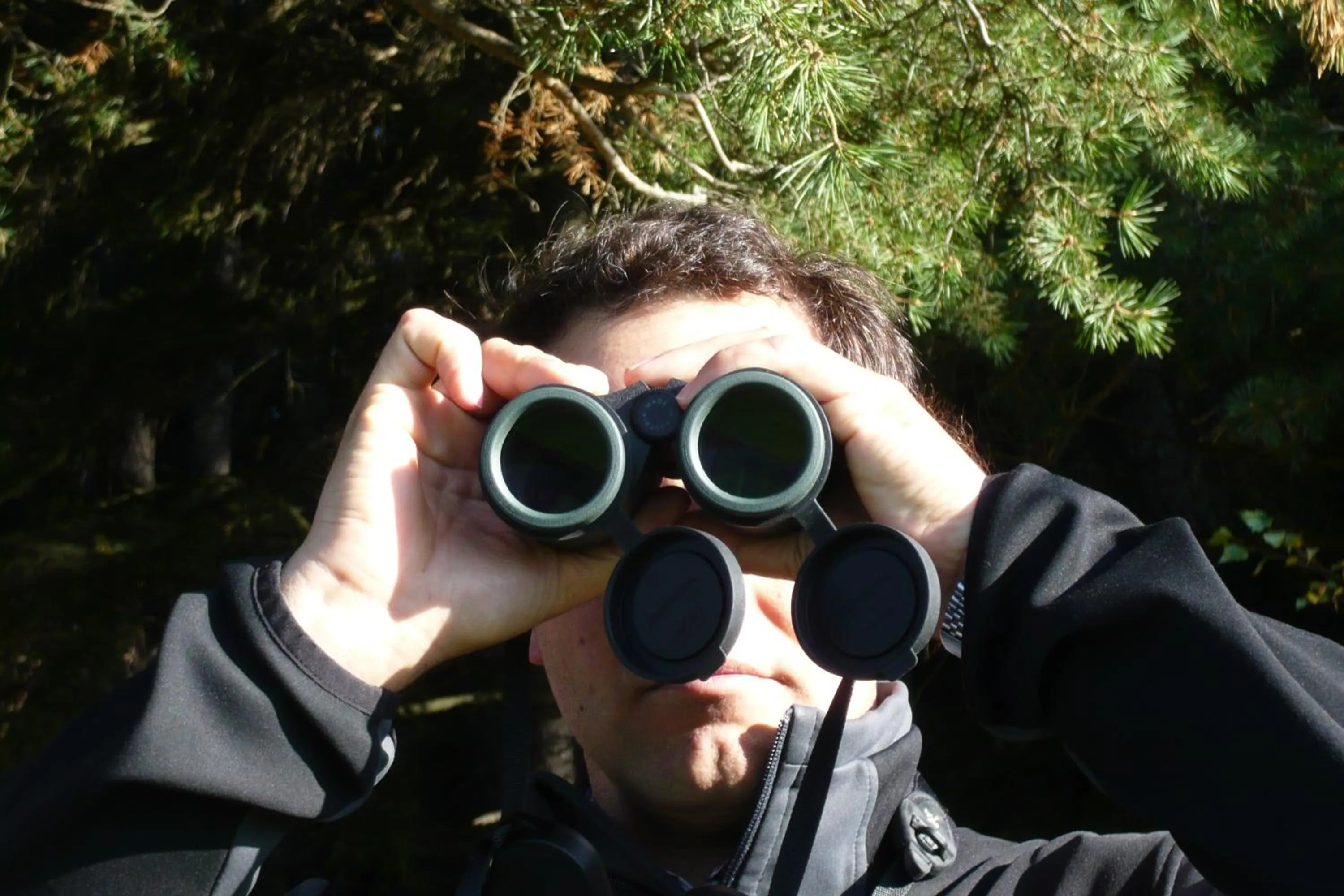 Activities in Hotel Restaurant Grünwalderhof