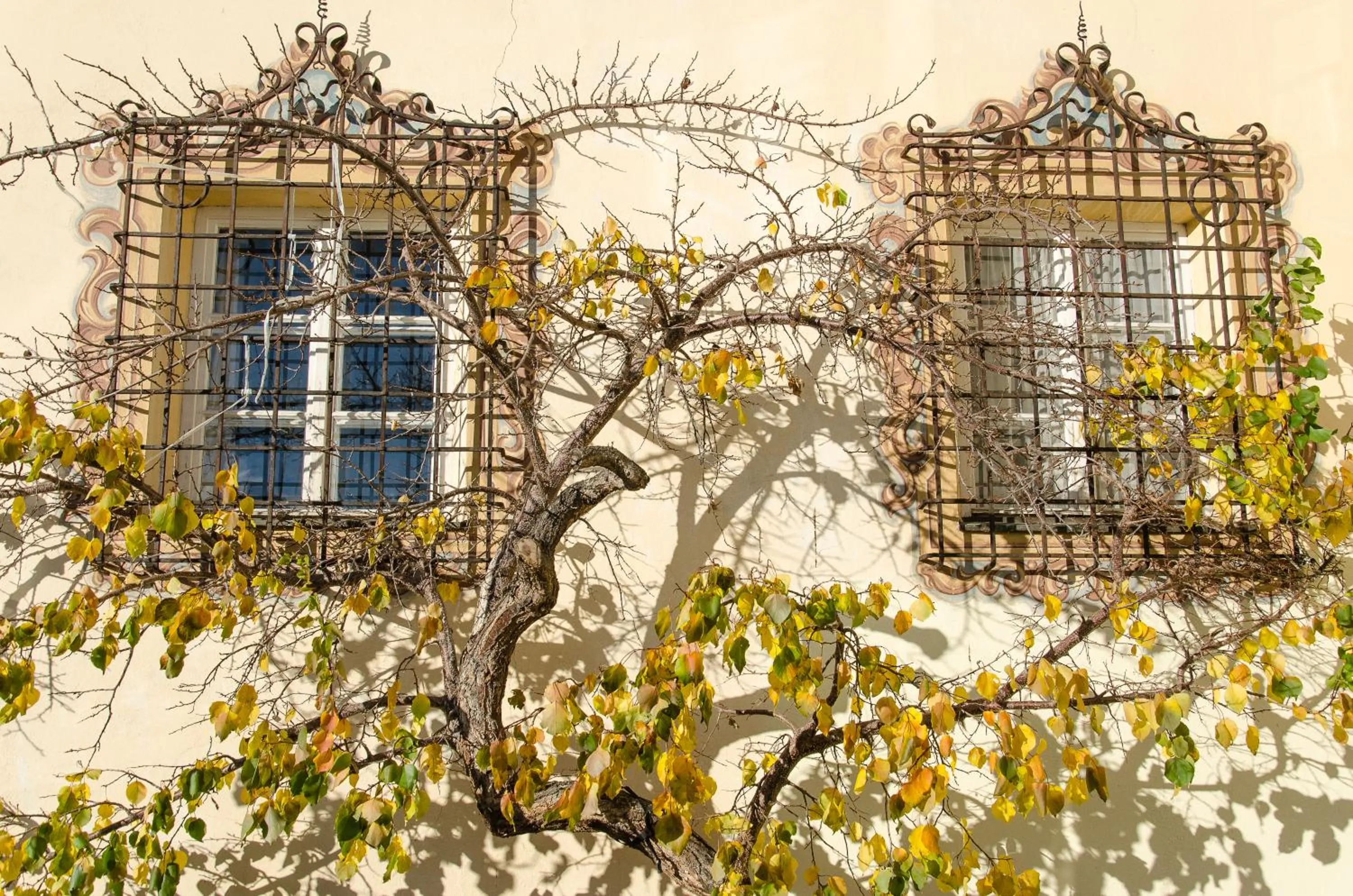 Balcony/Terrace in Hotel Restaurant Grünwalderhof