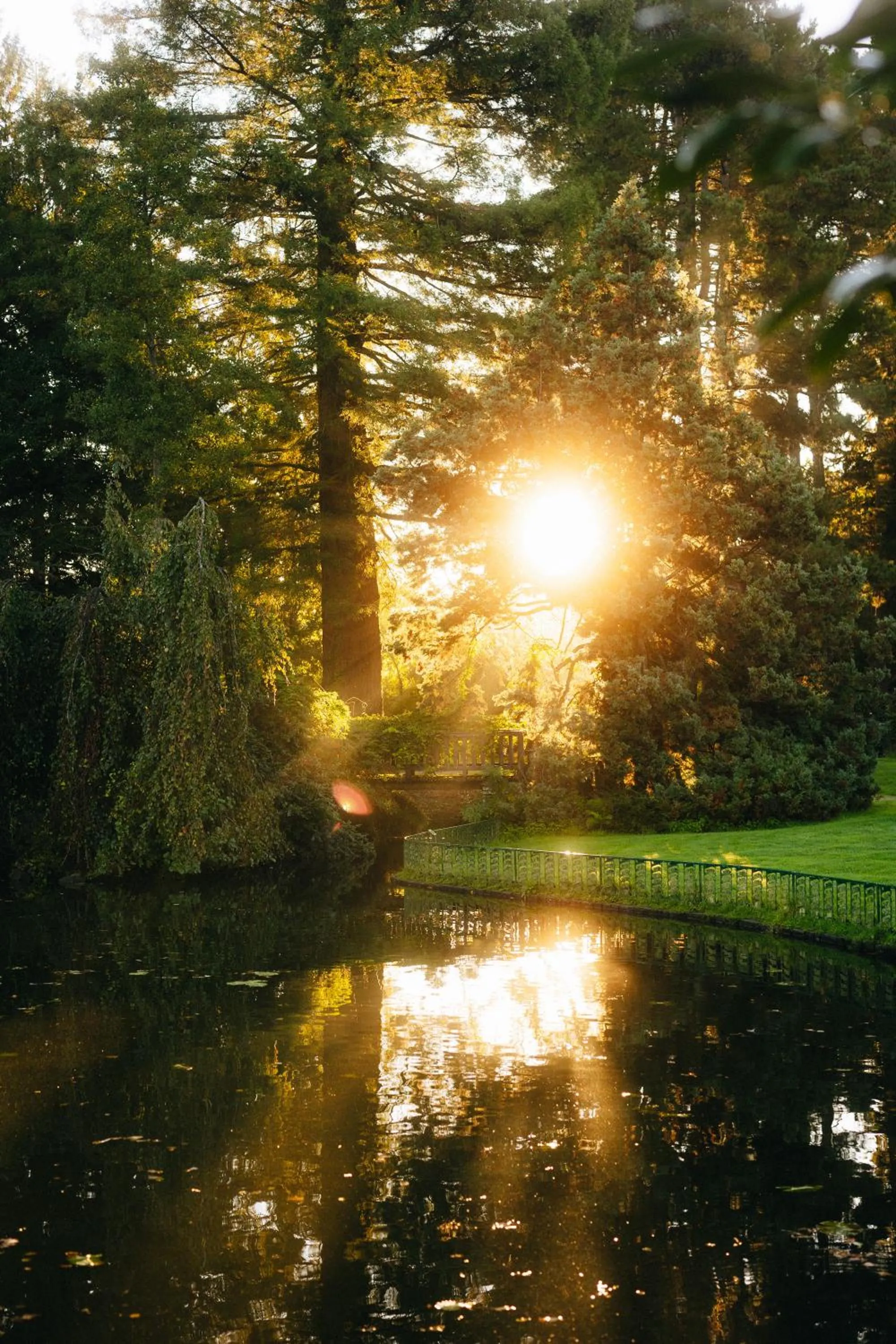 Natural landscape in Hôtel Restaurant Ar Milin-Logis hôtels