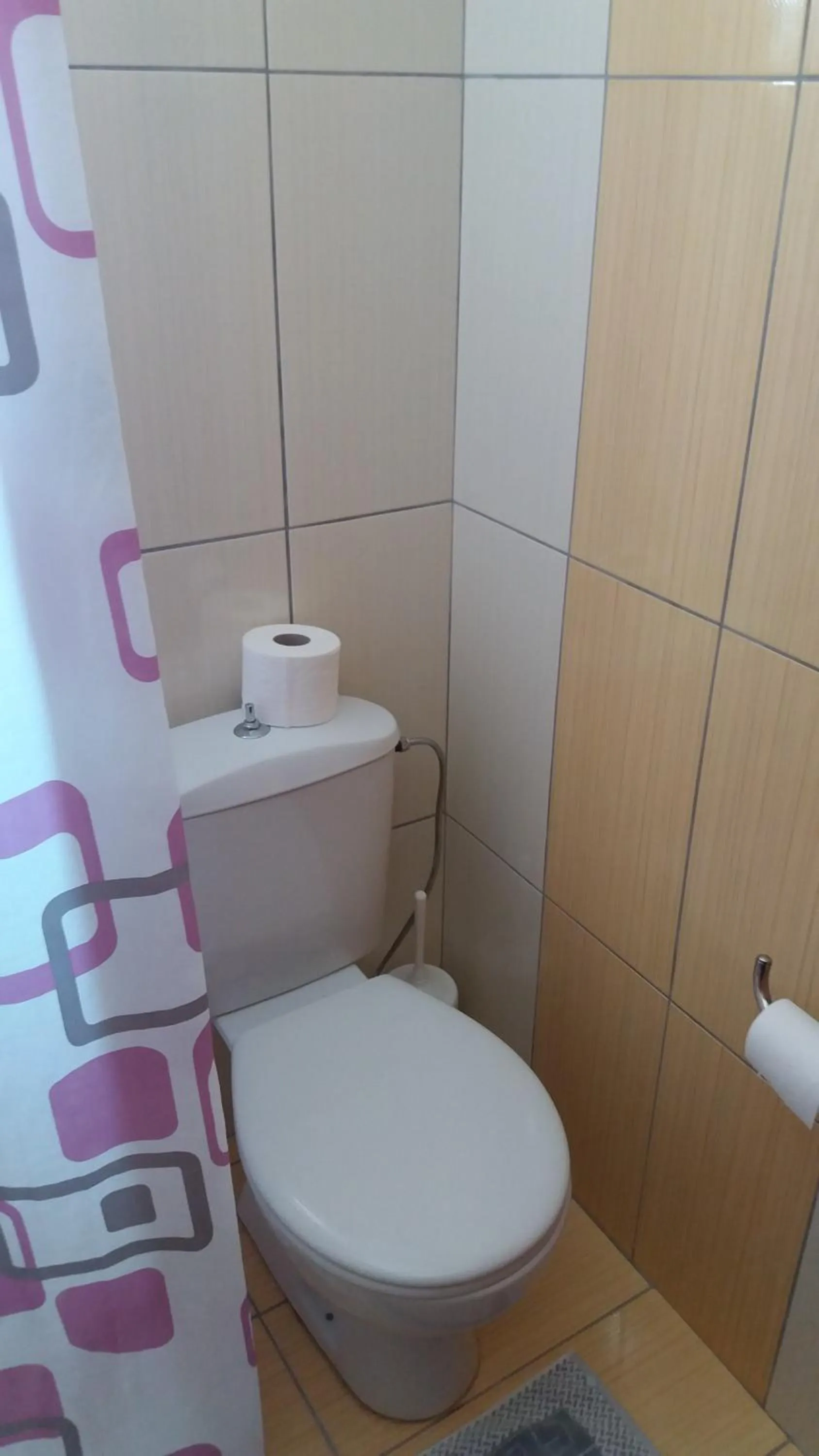 Shower in Paritsa Hotel