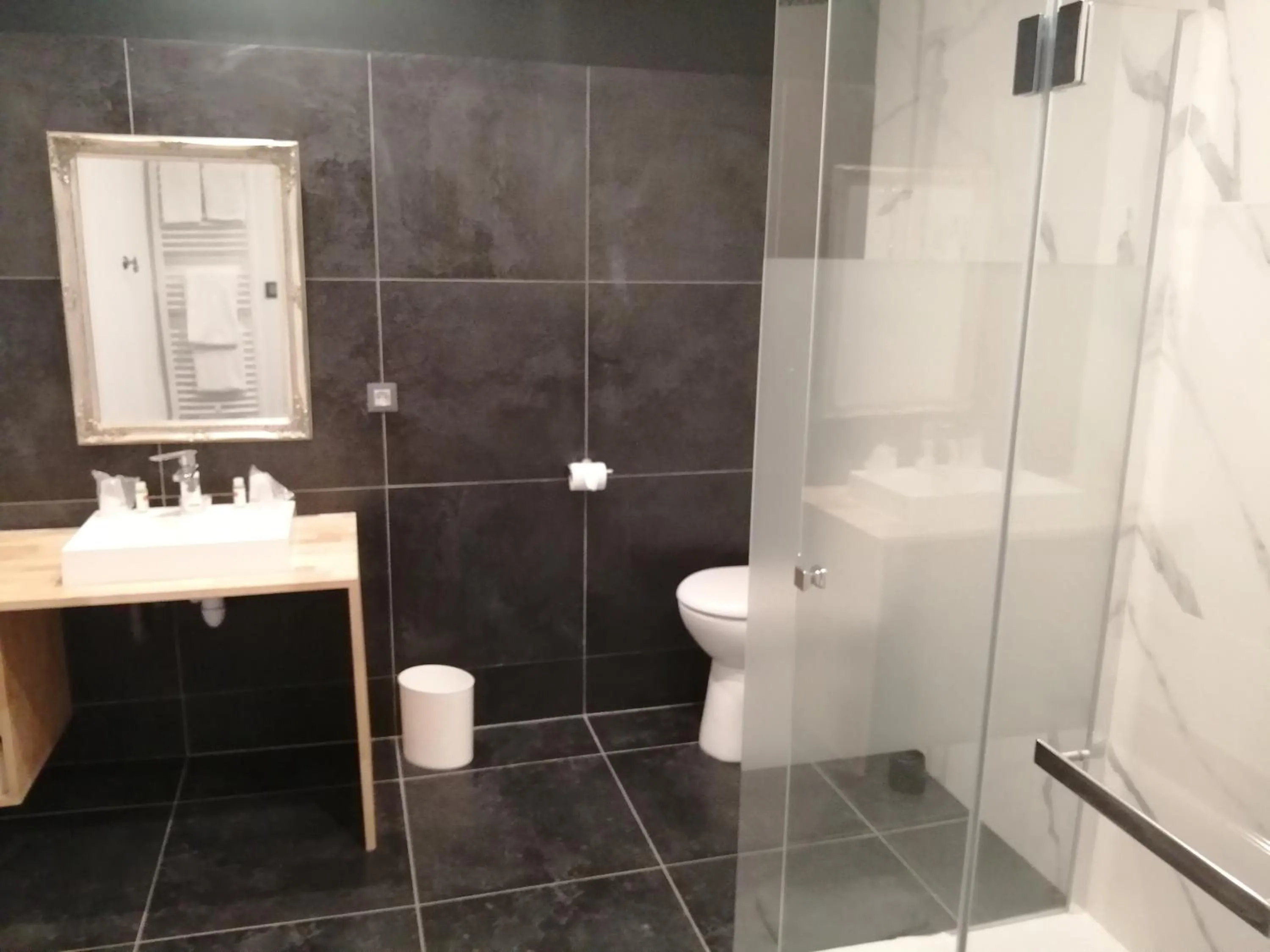 Bathroom in Hotel Du Cygne Tours