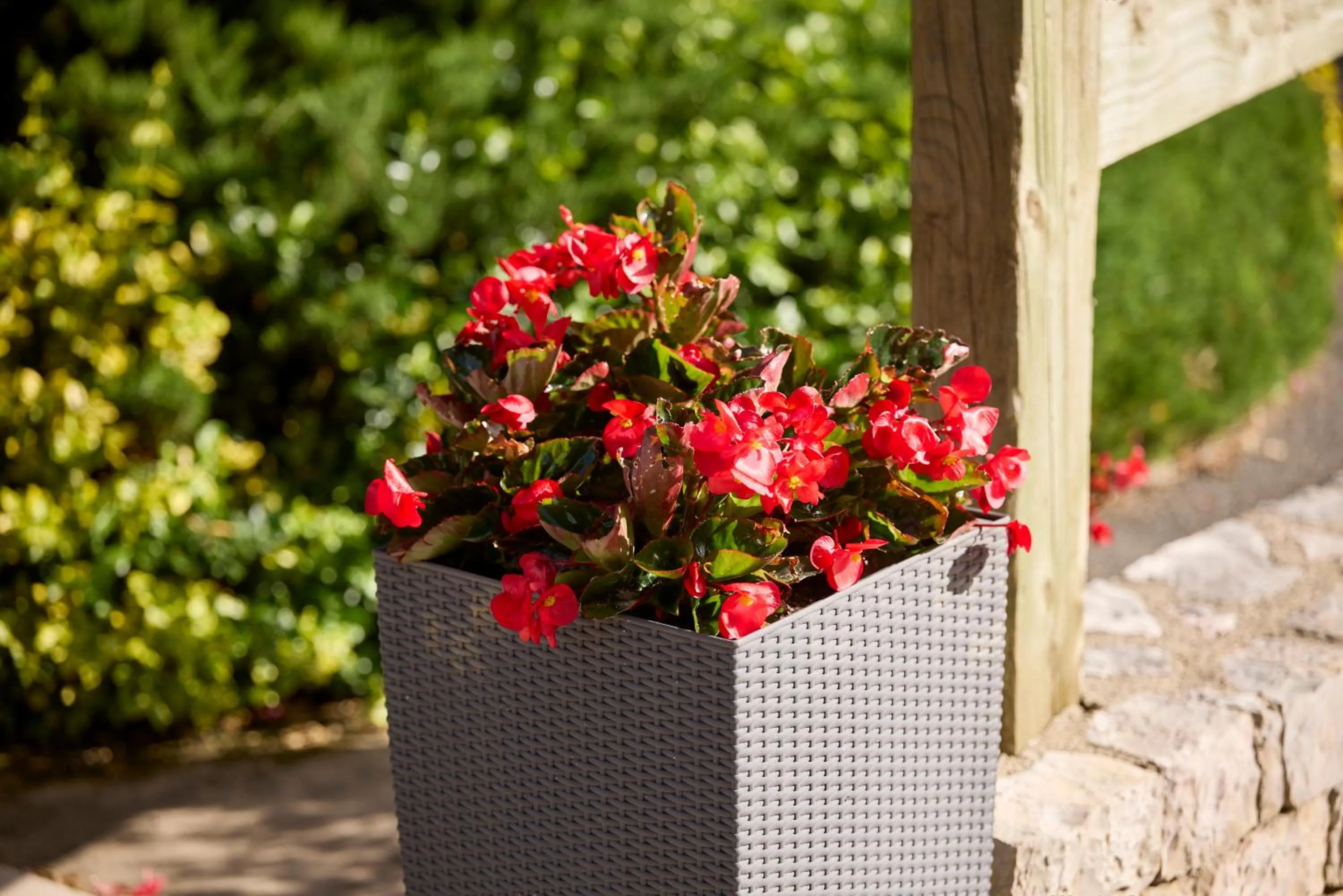 Garden view in Hôtel-Restaurant Le Calice Du Gevaudan - A75