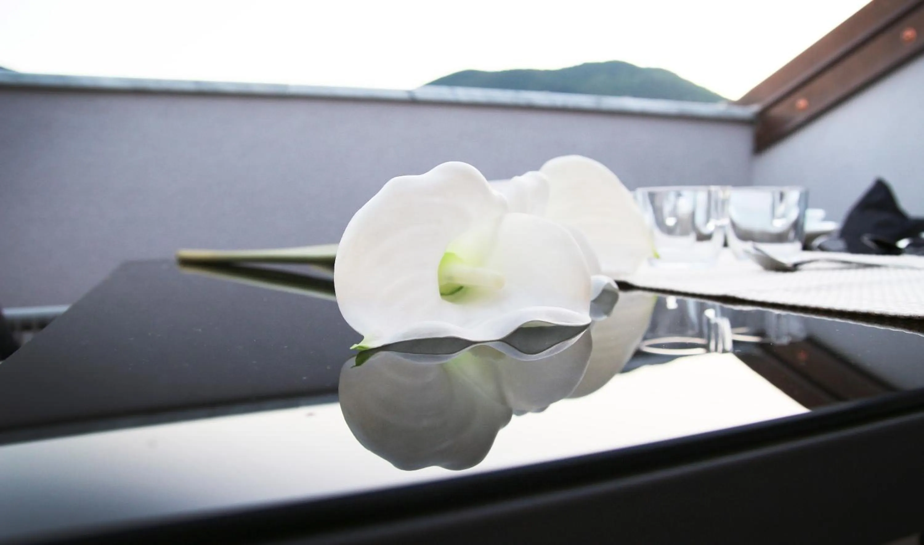 Affittacamere Bellavista