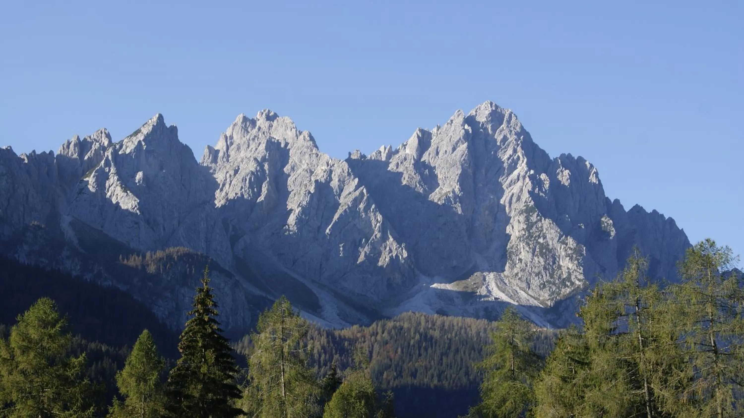 Il Cavallino - Albergo & Appartamenti