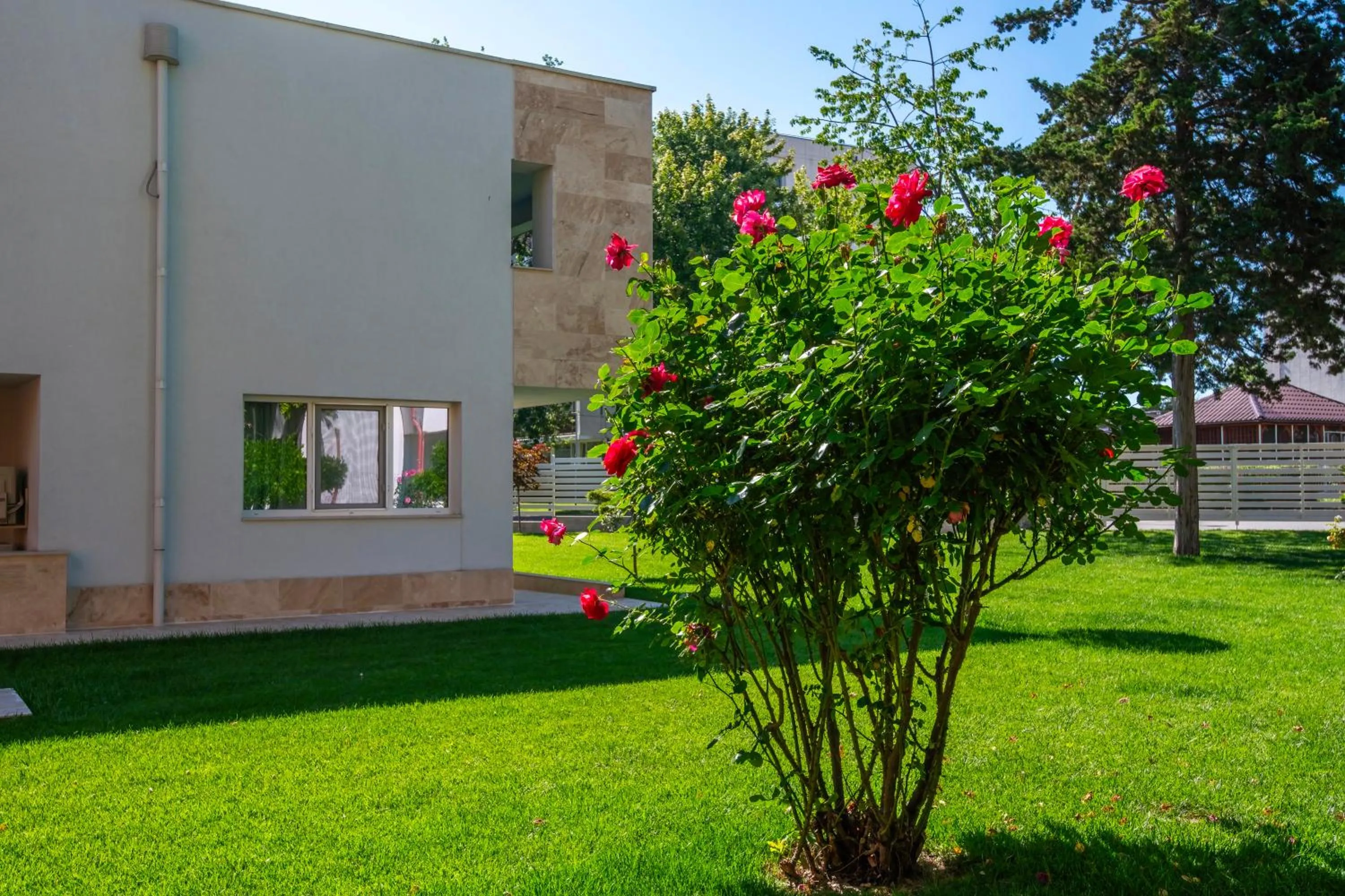 Property building in Hotel Saturn