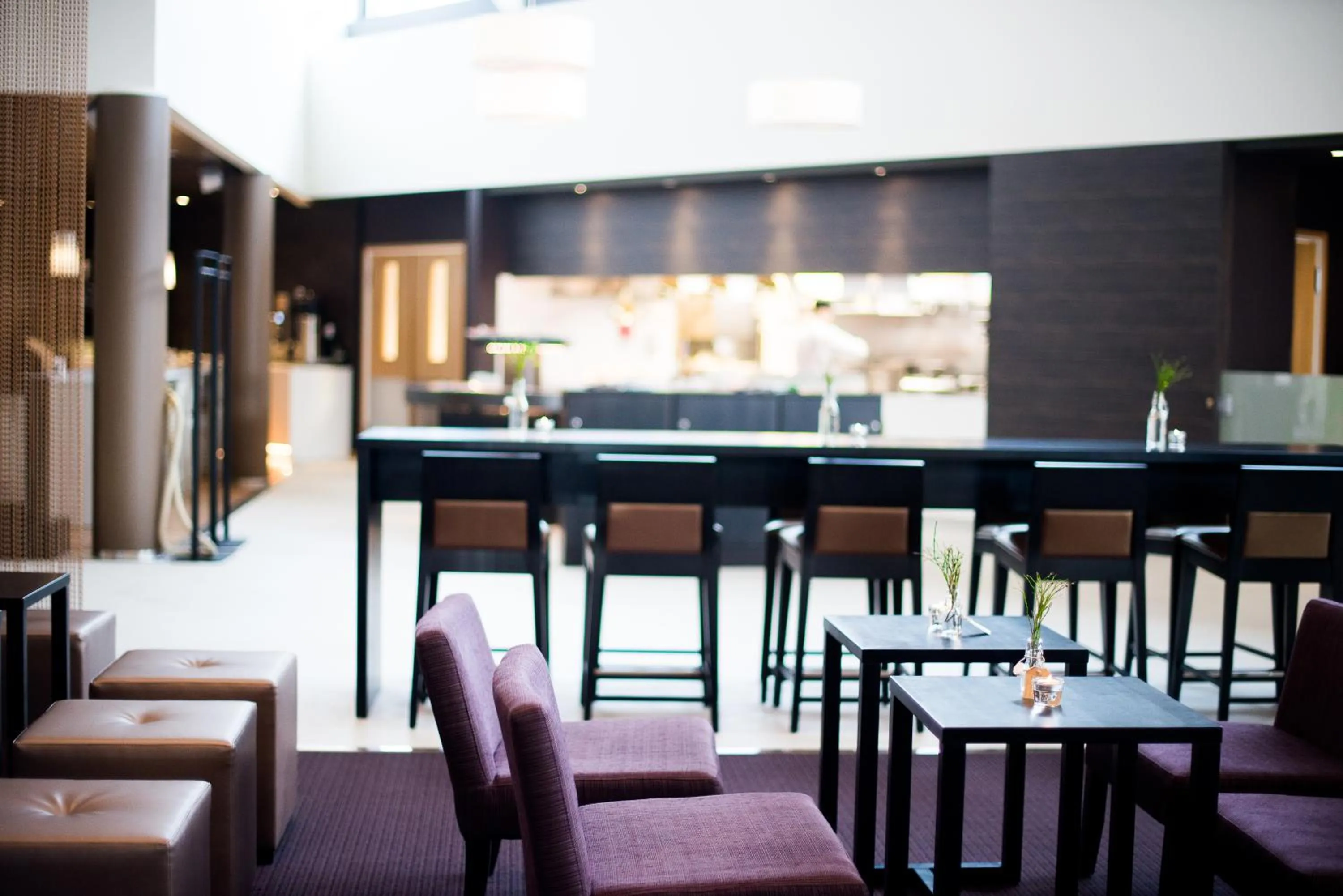 Lounge or bar in Hotel Pommern