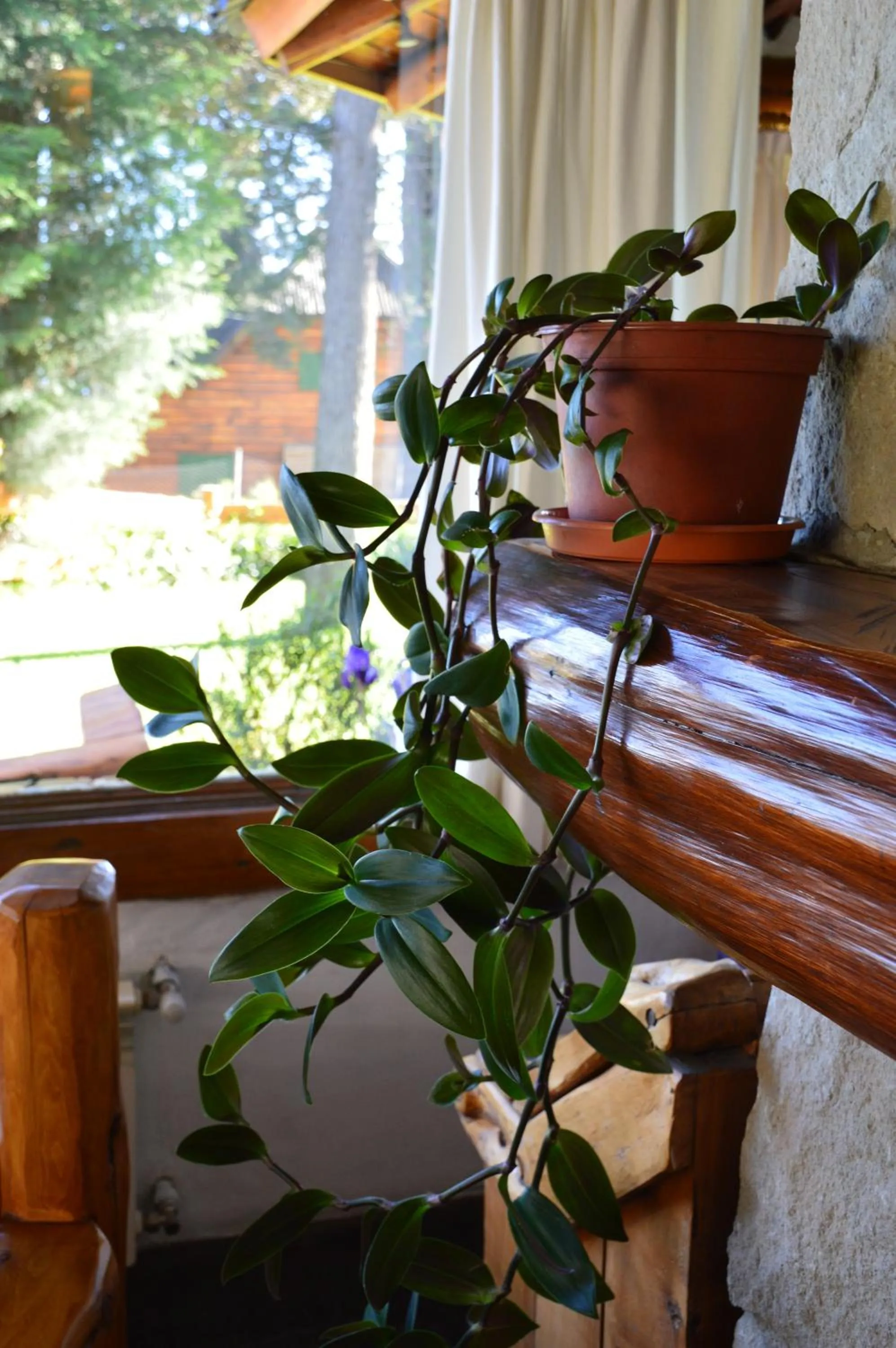 Property building in HTL La Malinka