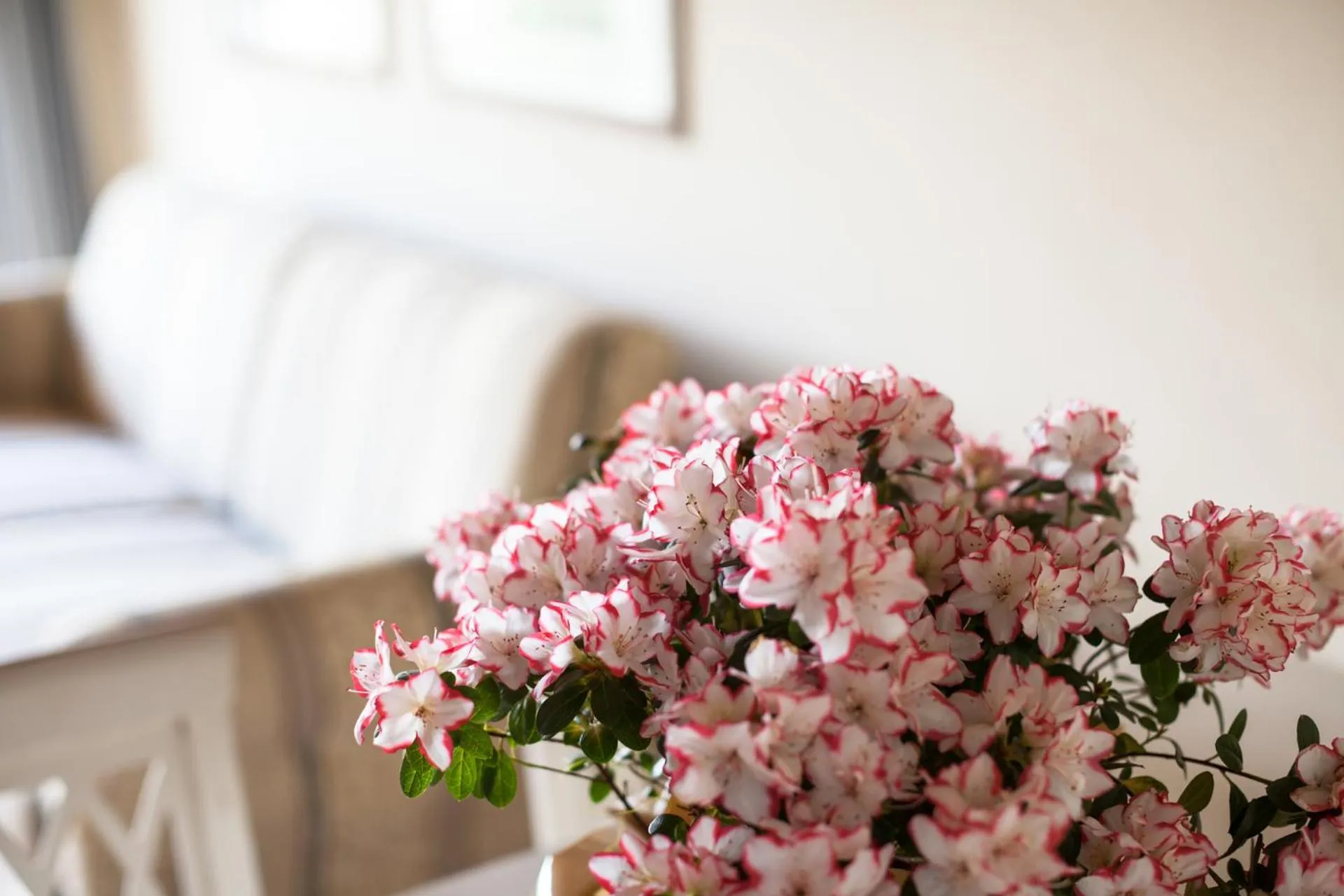 Bed in Residence Villa Antica Torre