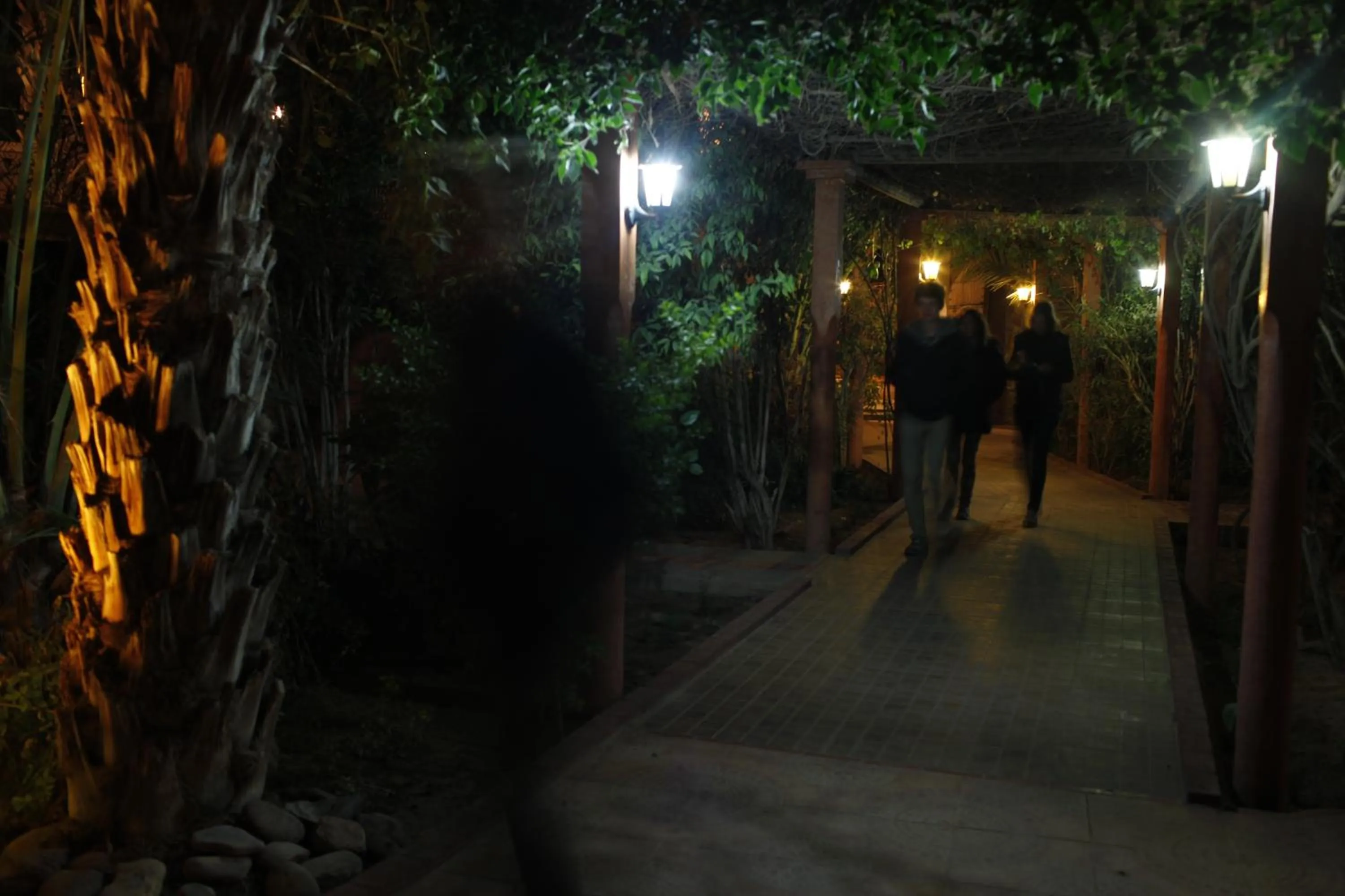 Fibule Du Draa Kasbah D'hôtes