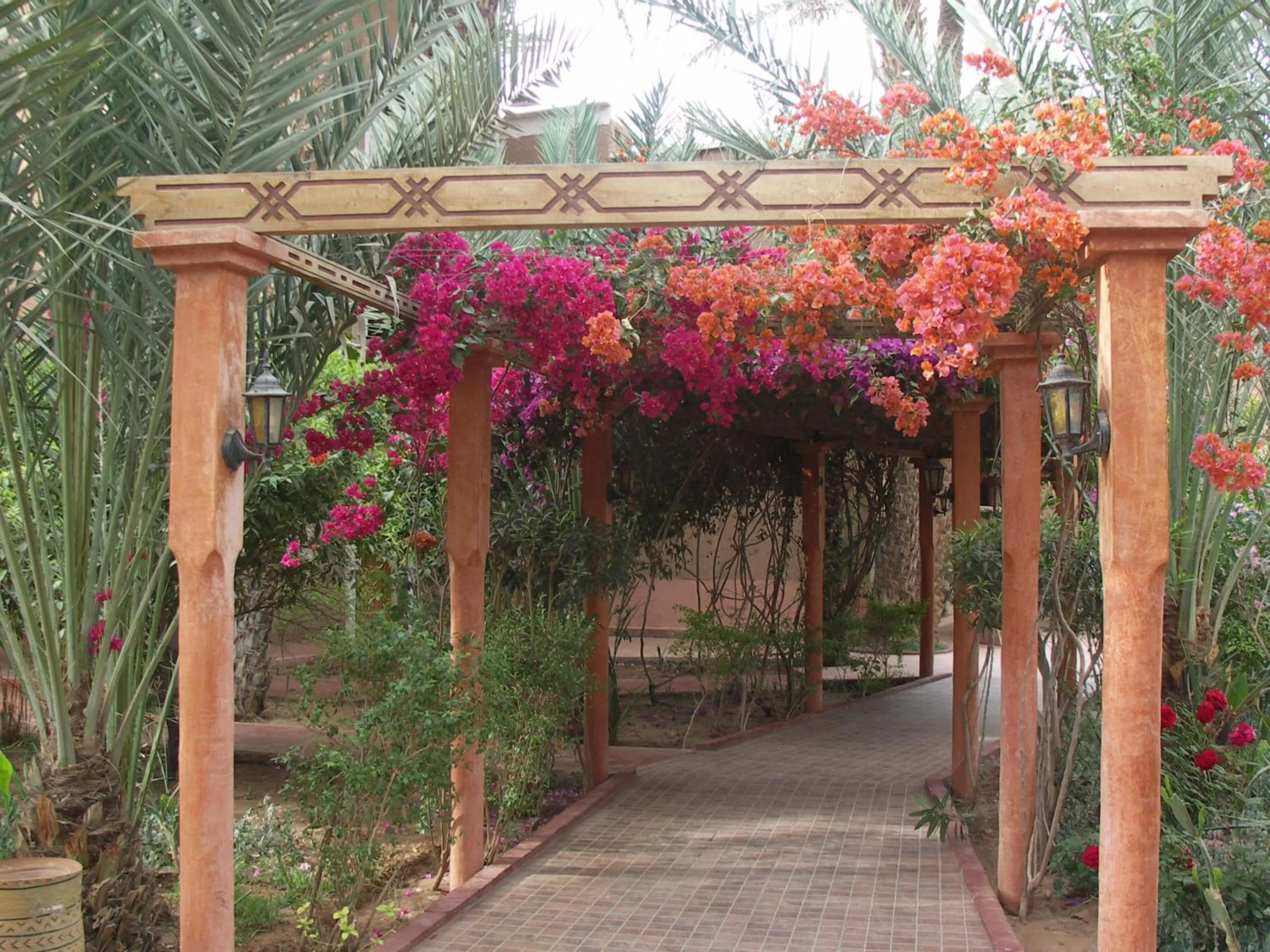 Fibule Du Draa Kasbah D'hôtes