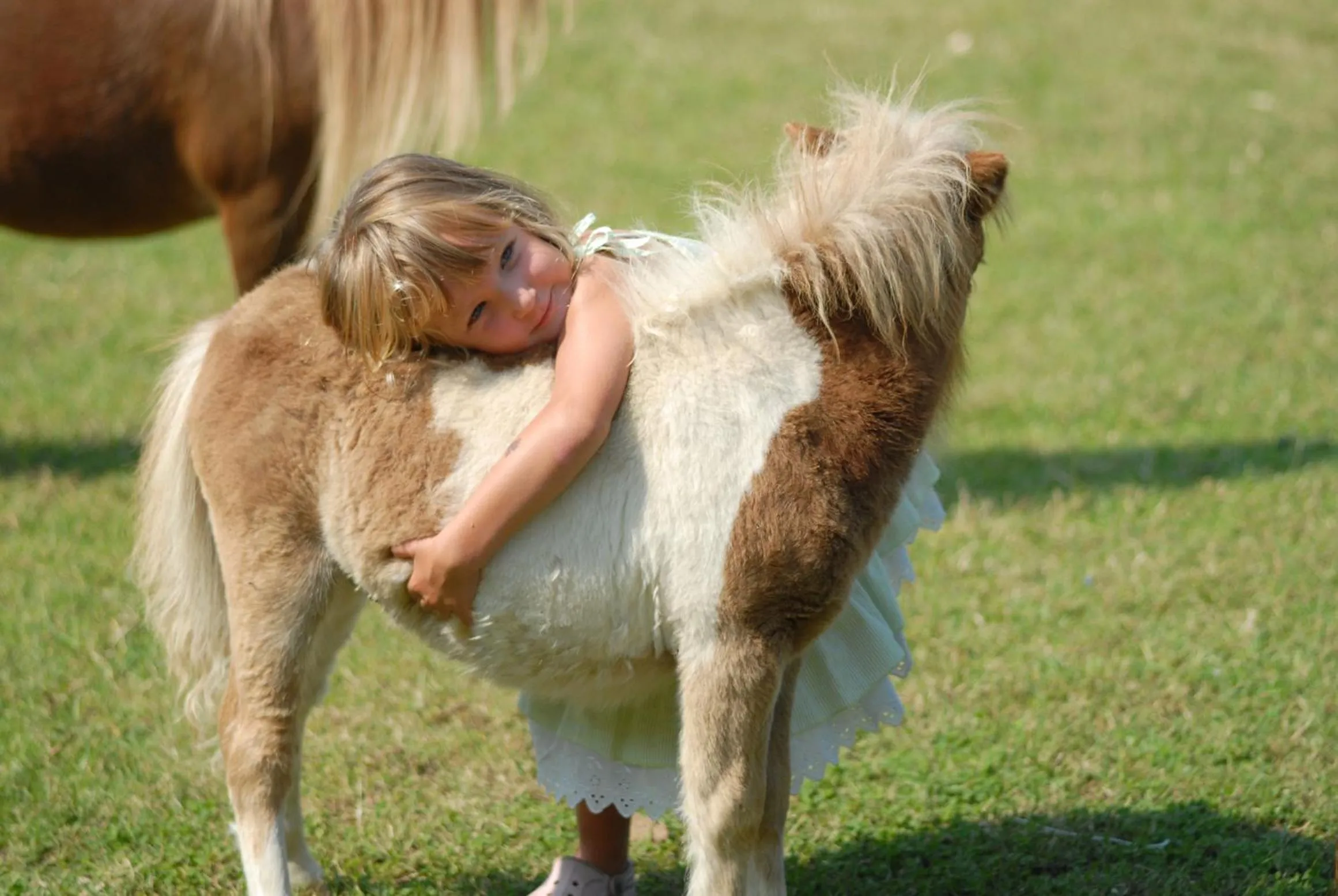 Garden in Arbatax Park Resort - Cottage