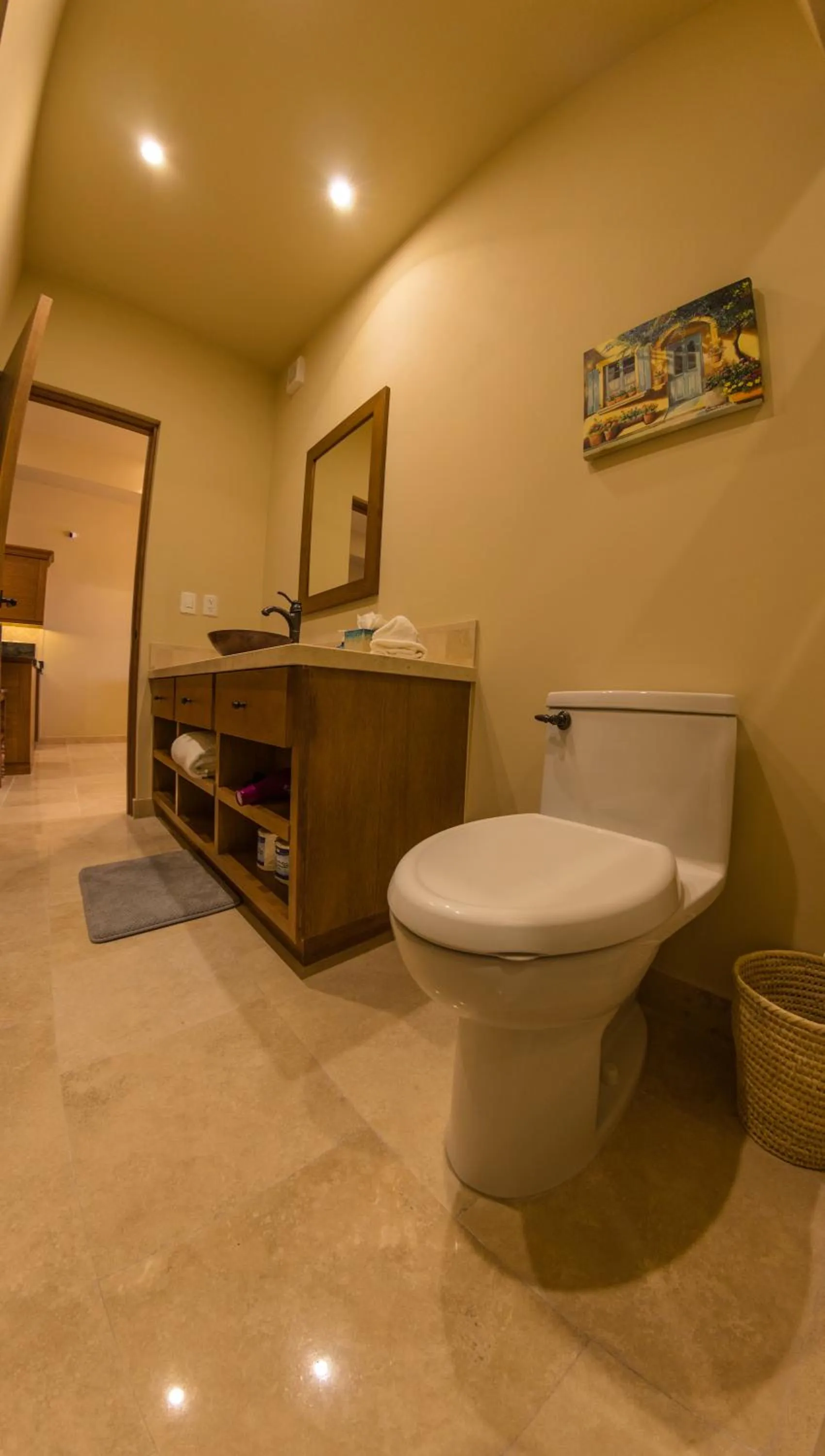 Toilet in Quivira Los Cabos Condos and Homes -Vacation Rentals