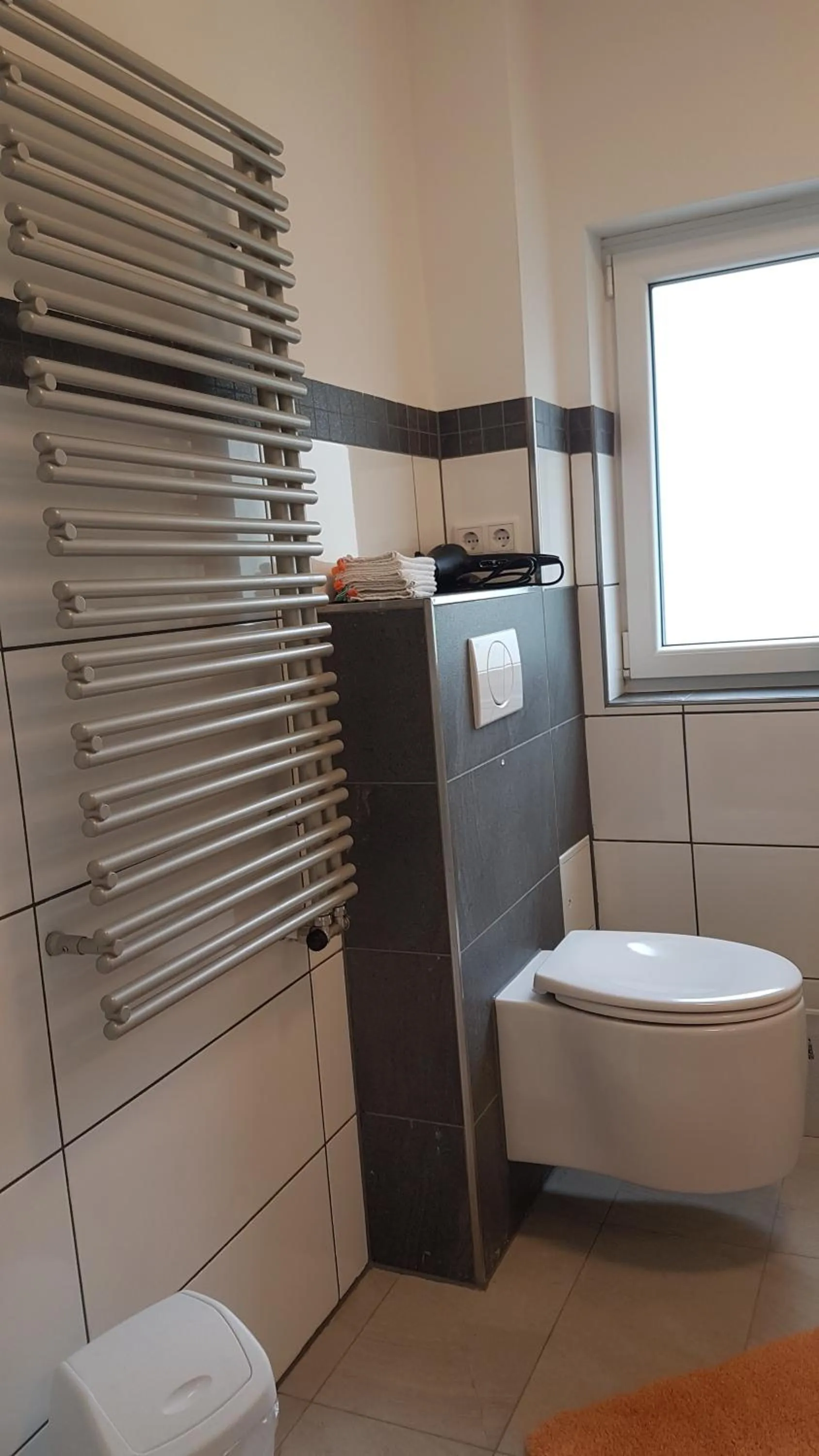 Toilet in gemütliches großzügiges Appartement Steinbreche barrierefrei