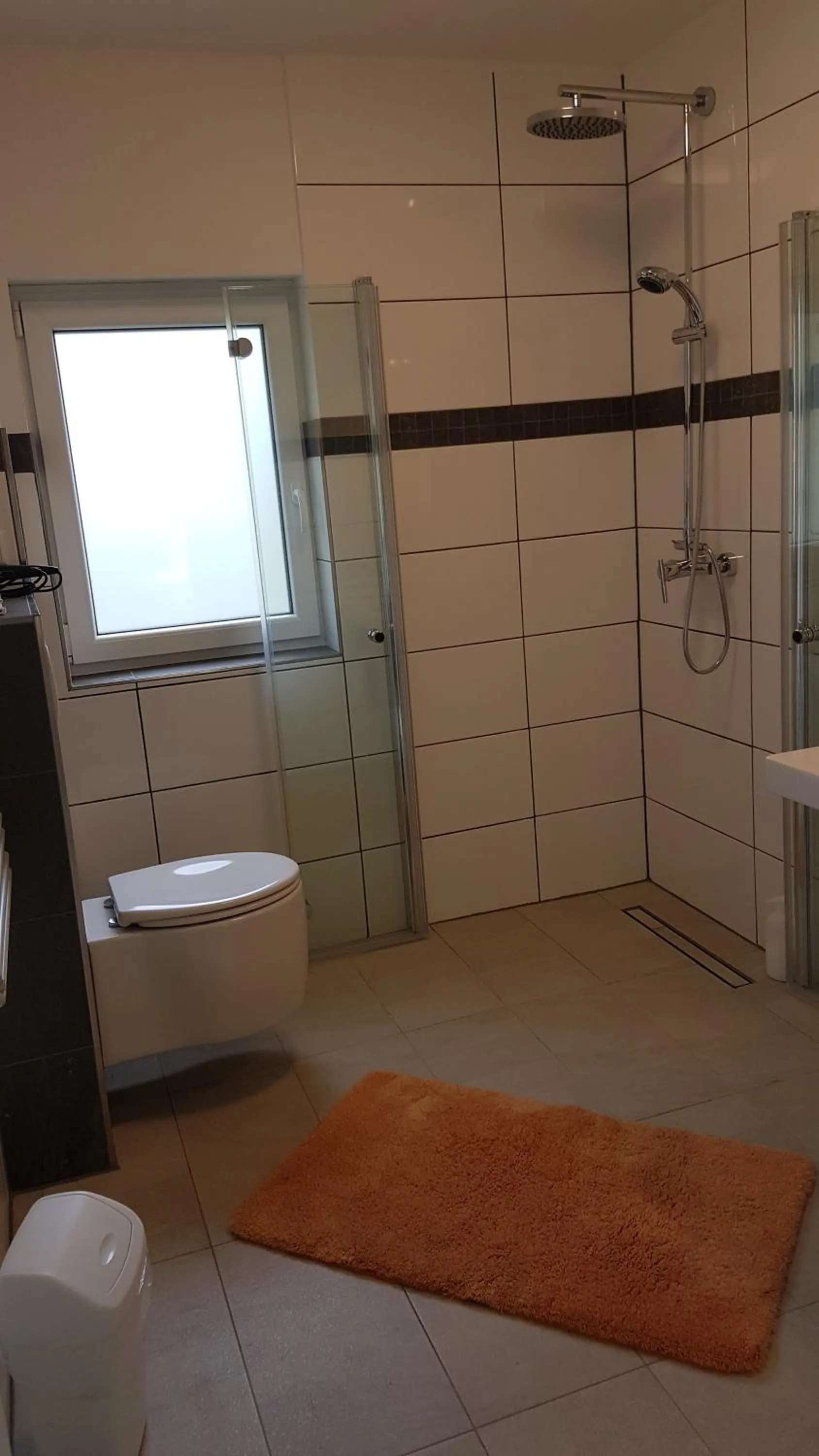 Shower in gemütliches großzügiges Appartement Steinbreche barrierefrei