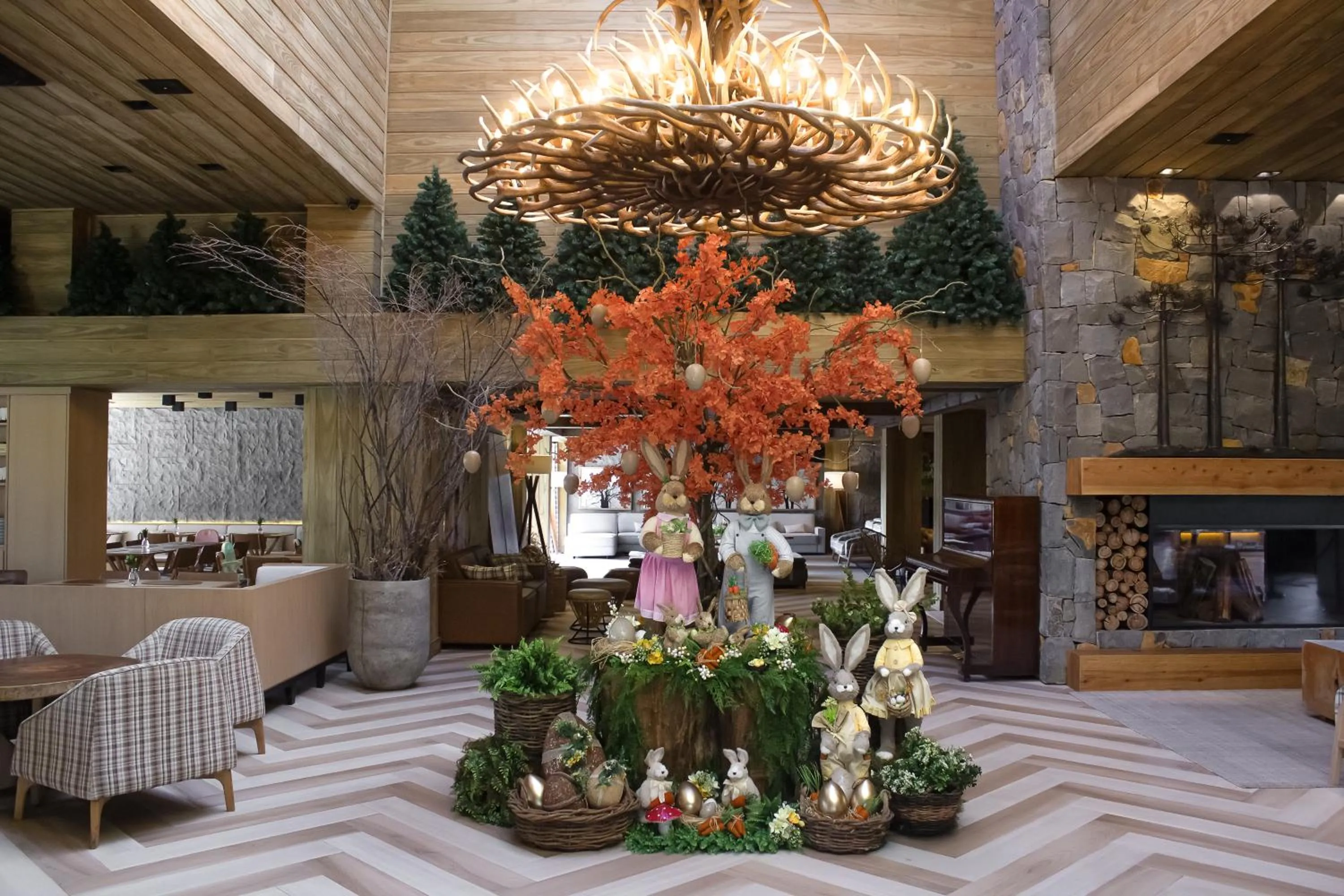 Living room in Hotel Alpestre