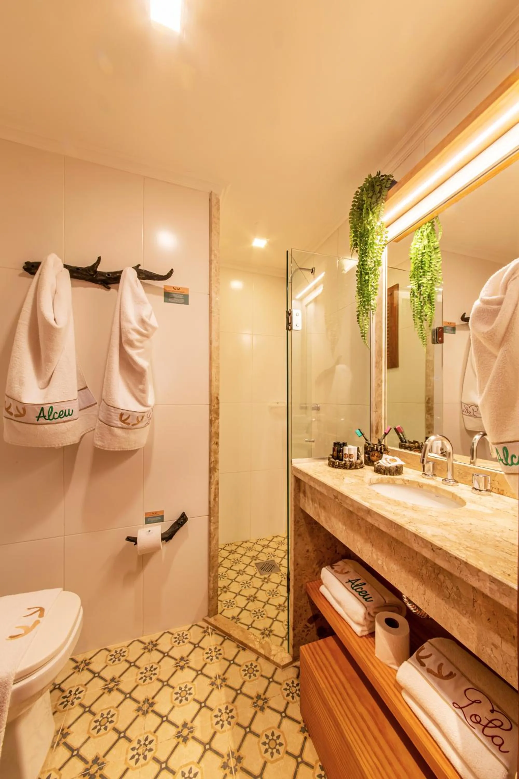 Bathroom in Hotel Alpestre