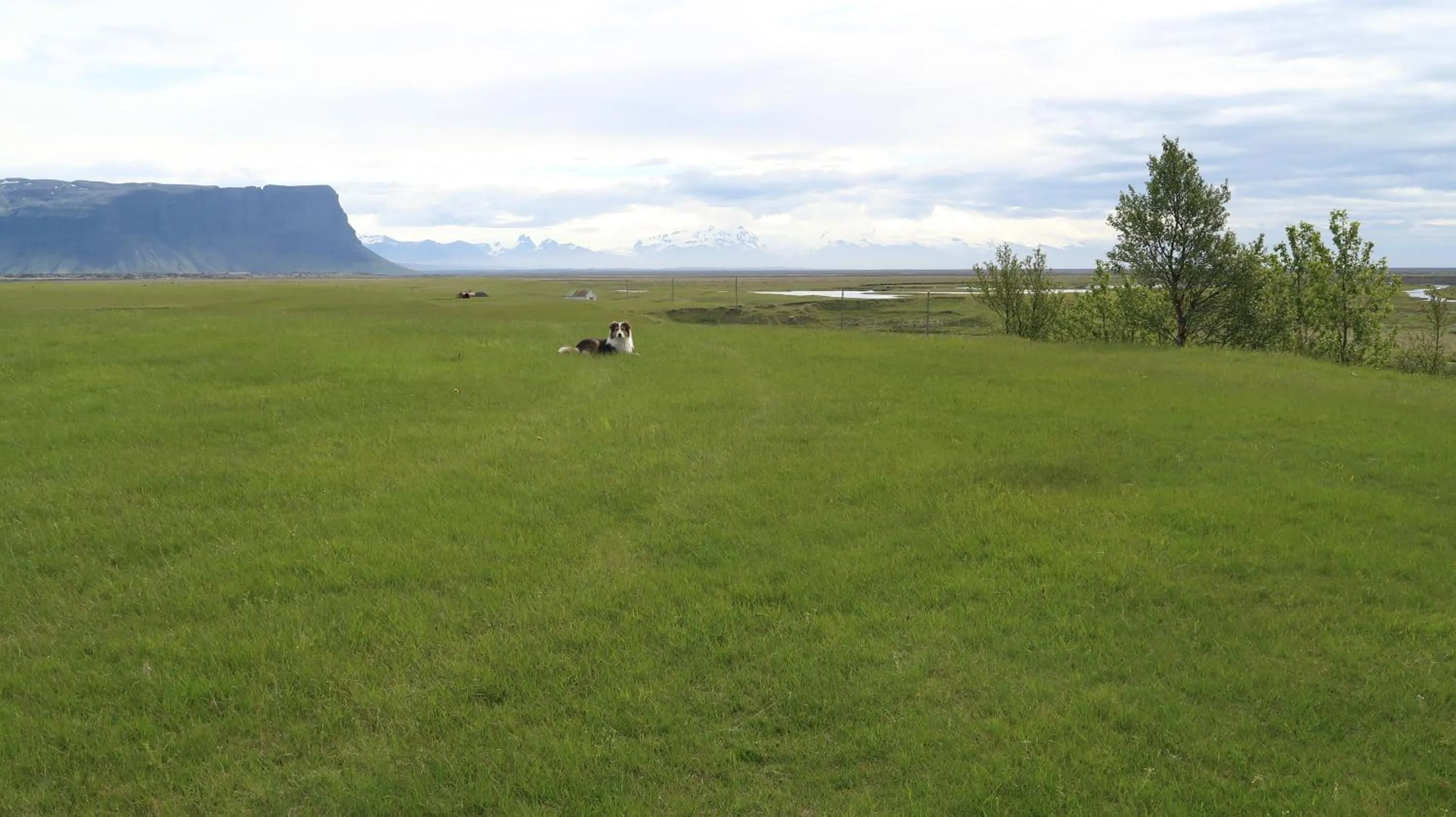 Summer in Hvoll Hostel